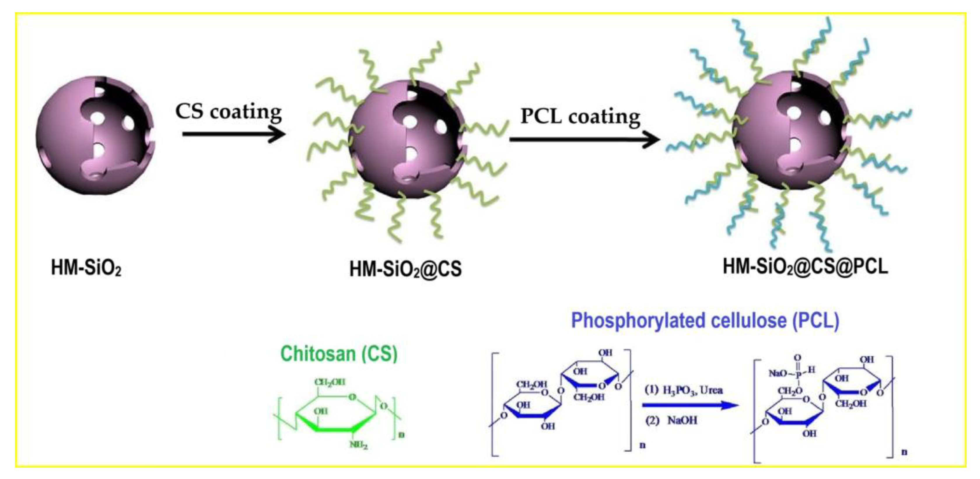 Polymers 16 03343 g017