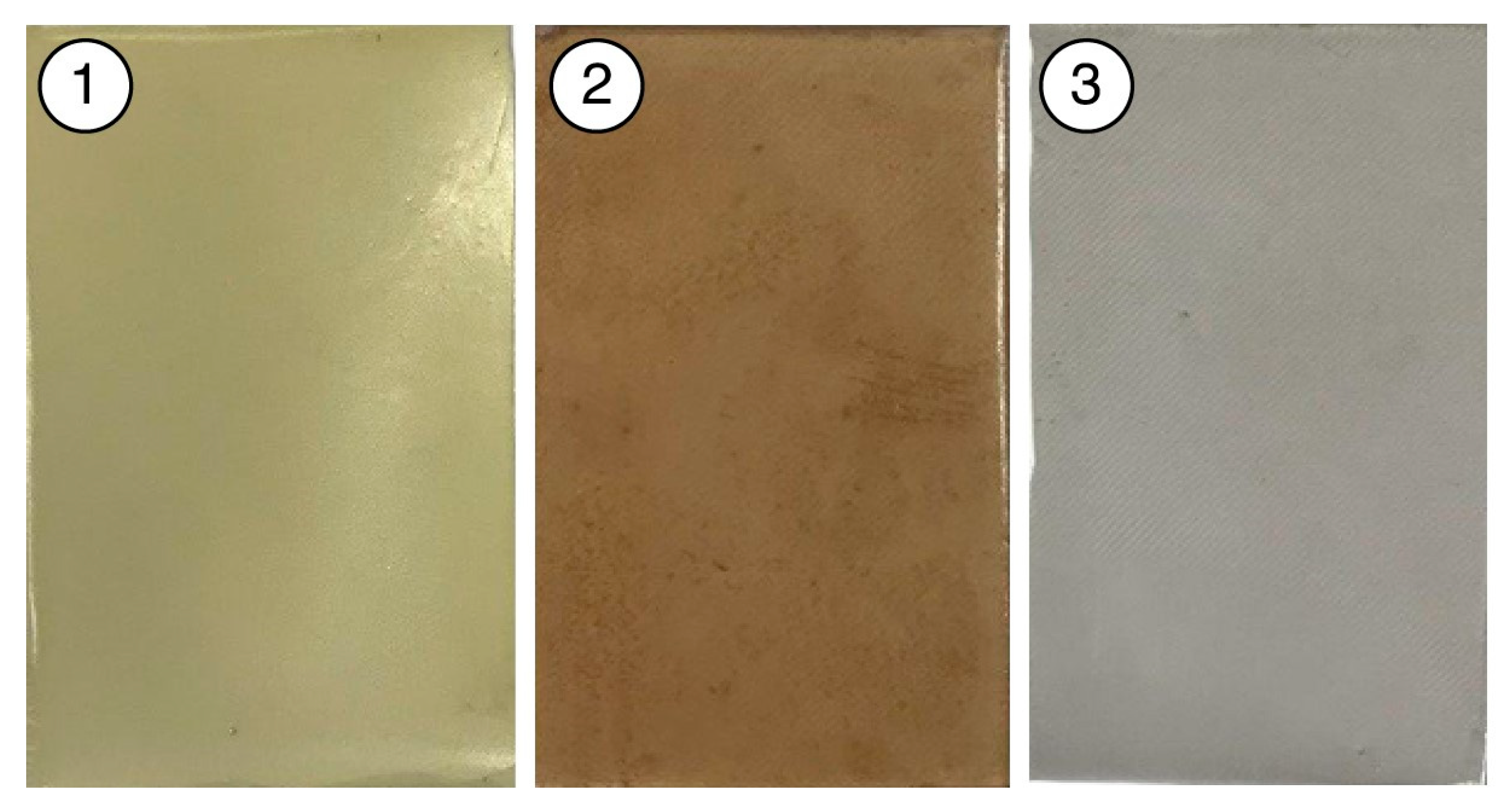 Polymers 16 03344 g004