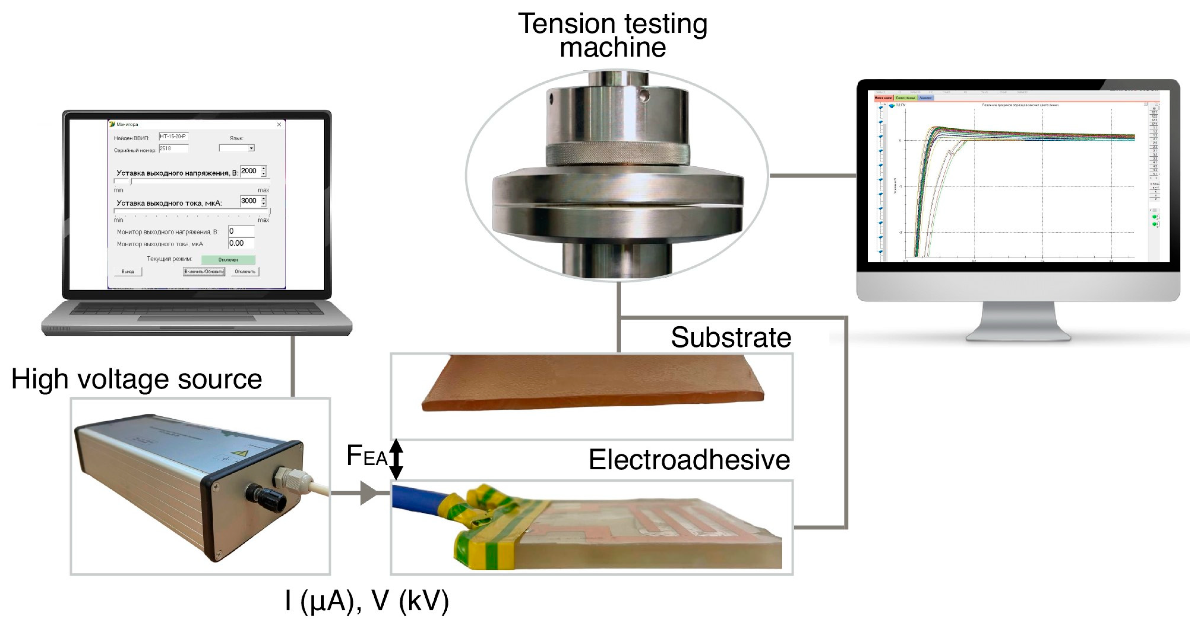Polymers 16 03344 g005