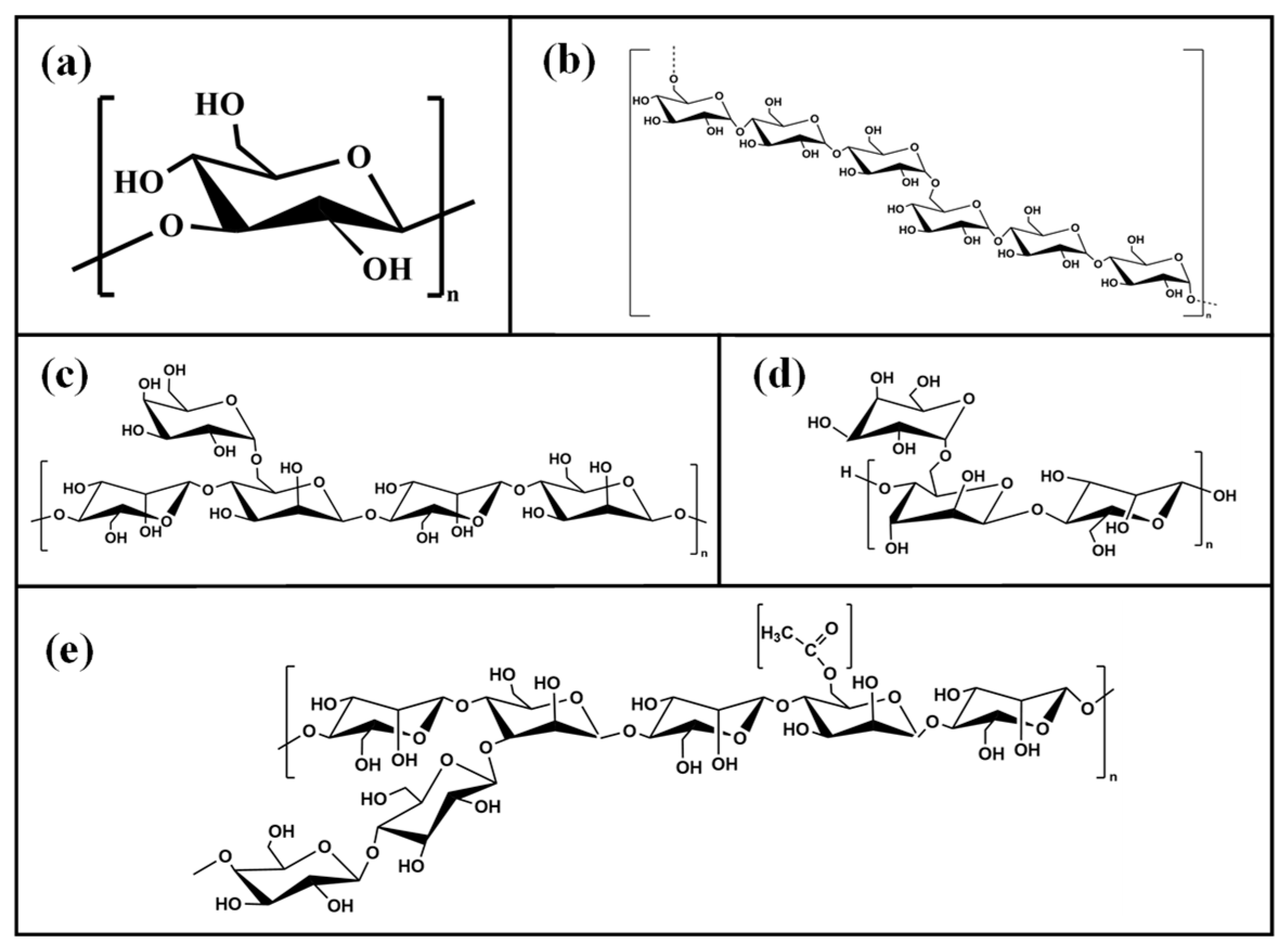 Polymers 16 03345 g001