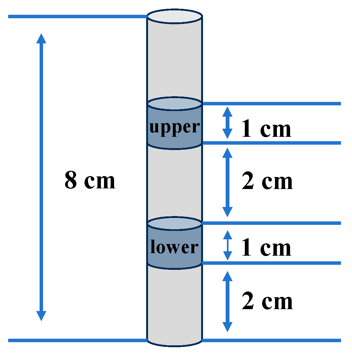 Polymers 16 03345 g002