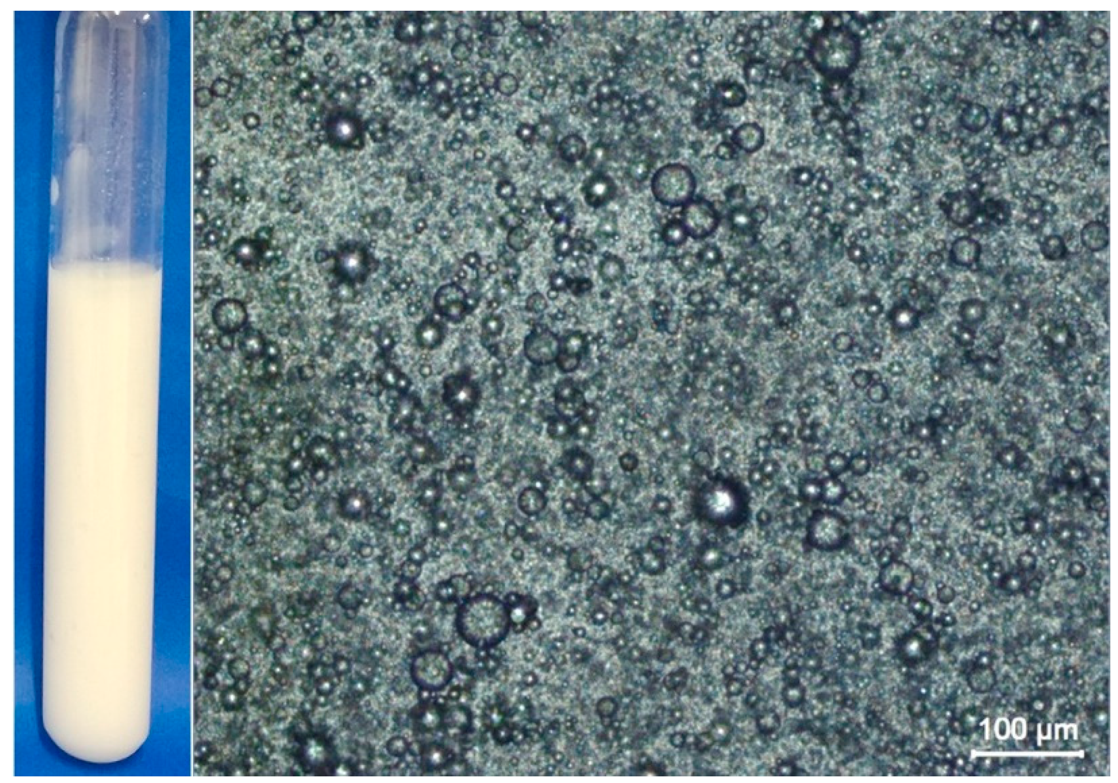 Polymers 16 03346 g002