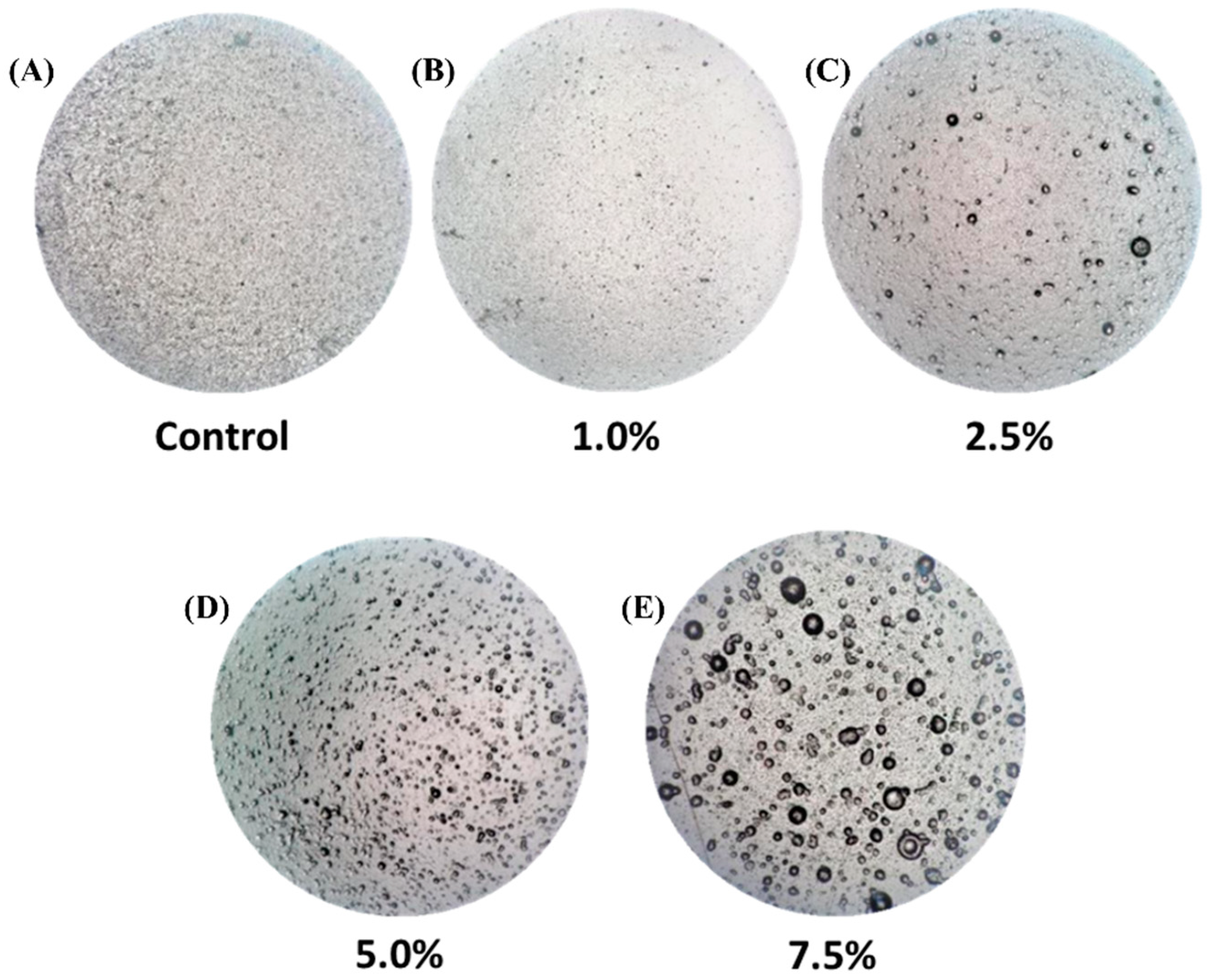 Polymers 16 03346 g003