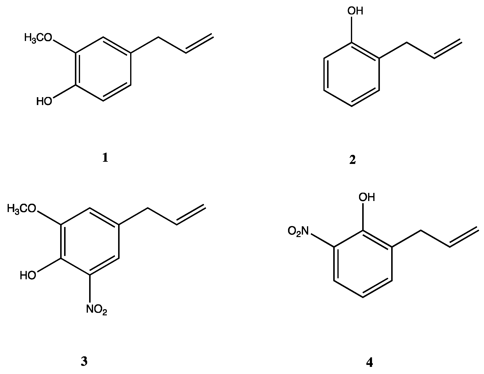 Polymers 16 03348 g001