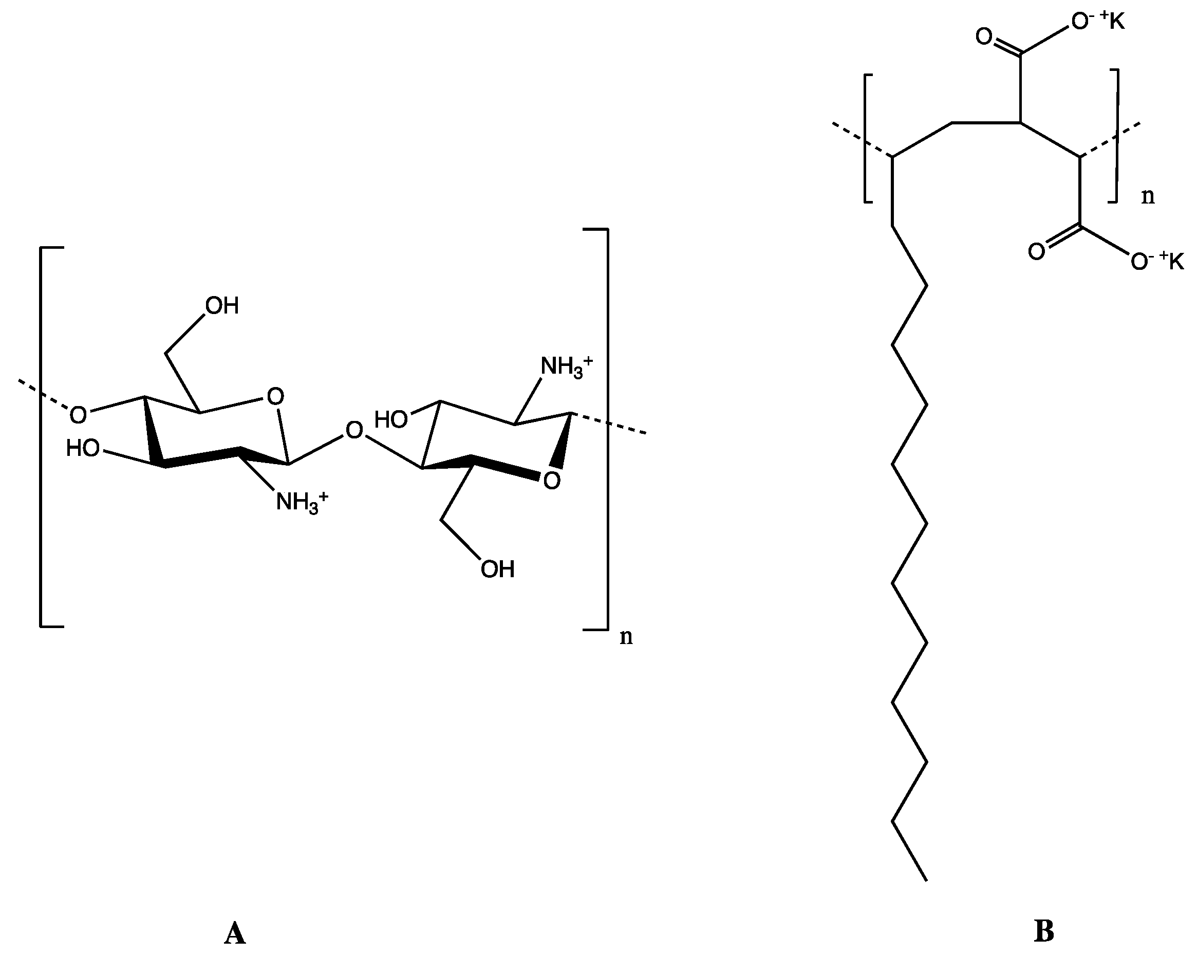 Polymers 16 03348 g002