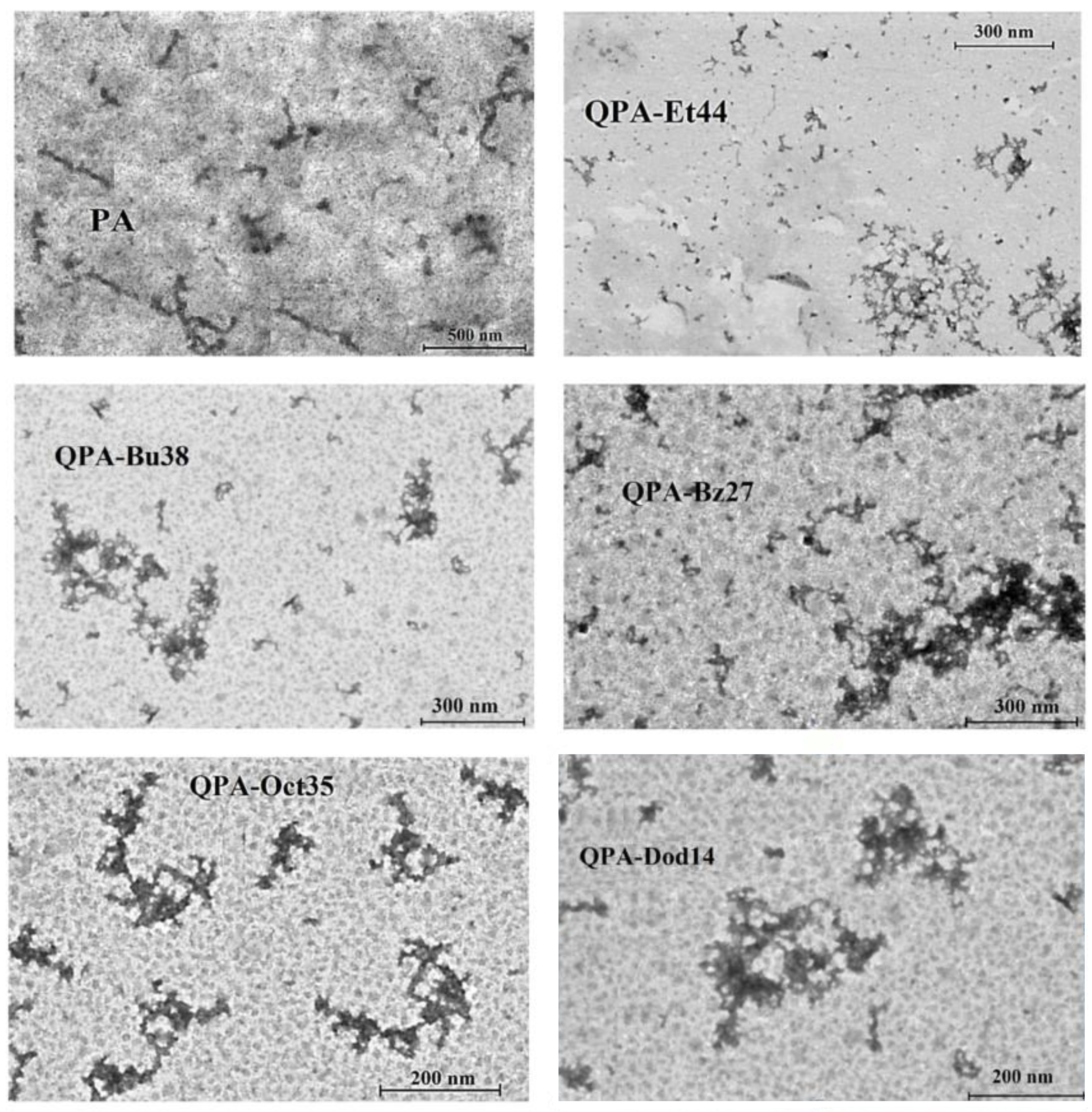 Polymers 16 03352 g005