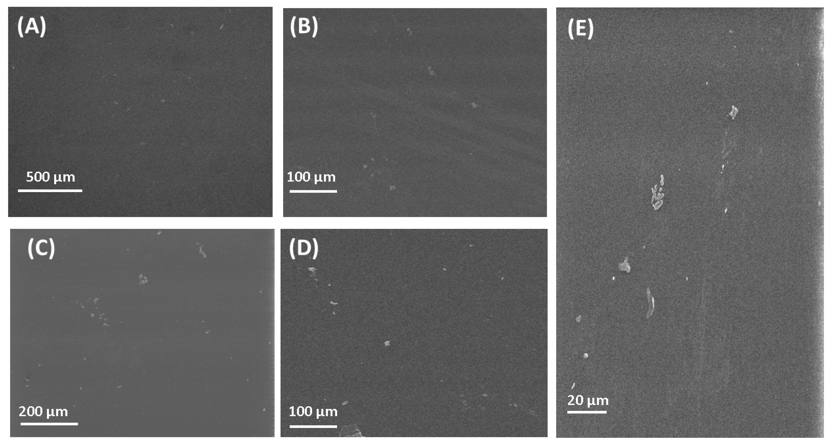 Polymers 16 03353 g002
