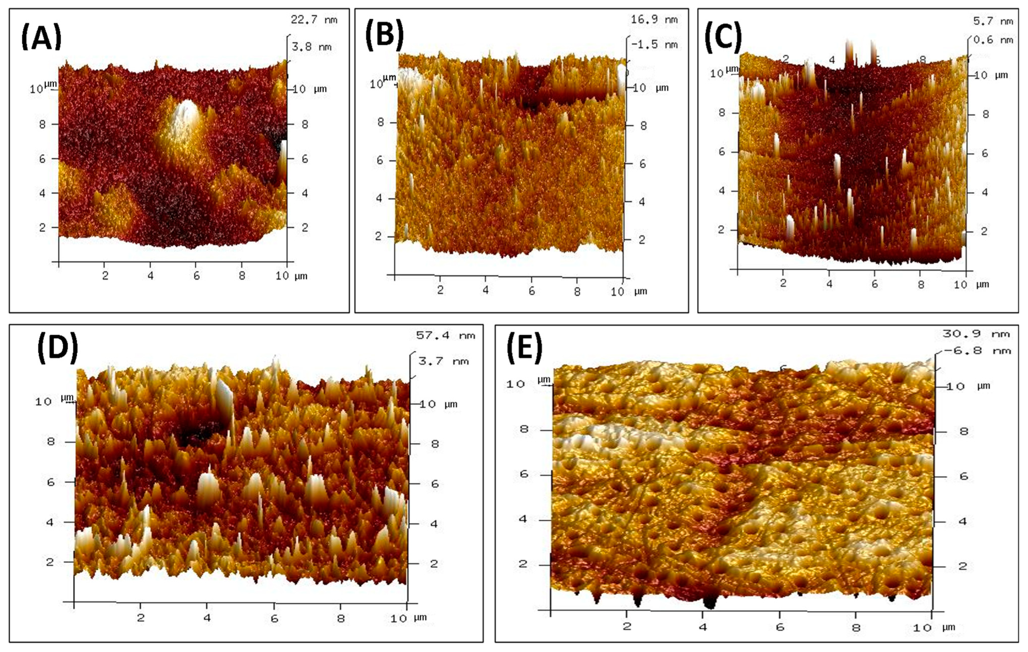 Polymers 16 03353 g004