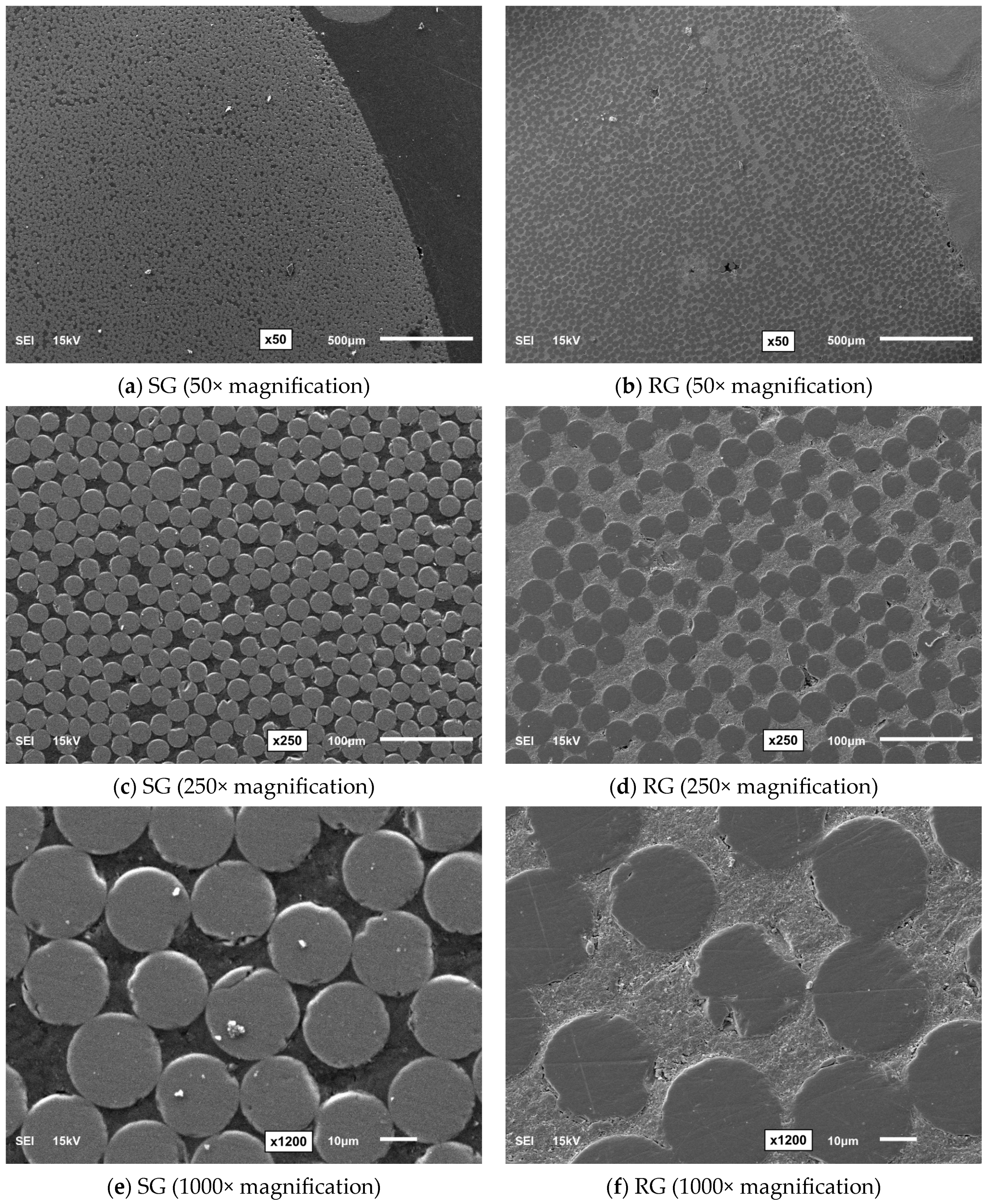 Polymers 16 03358 g002