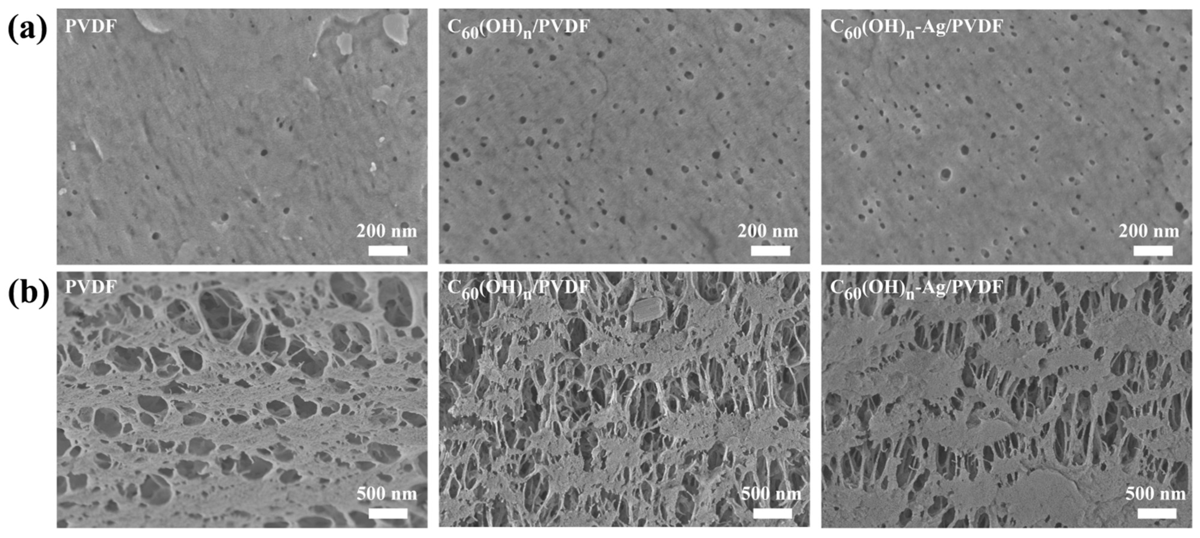 Polymers 16 03359 g005