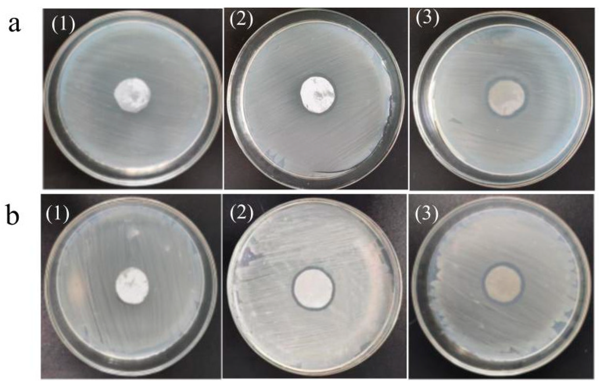 Polymers 16 03359 g013