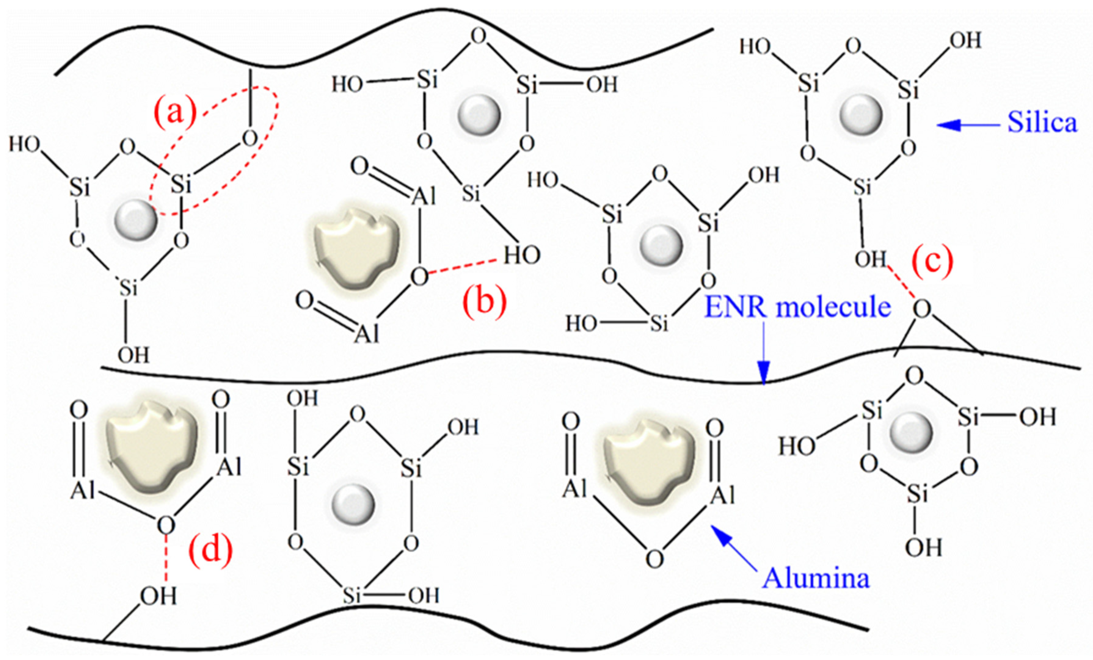 Polymers 16 03362 g003
