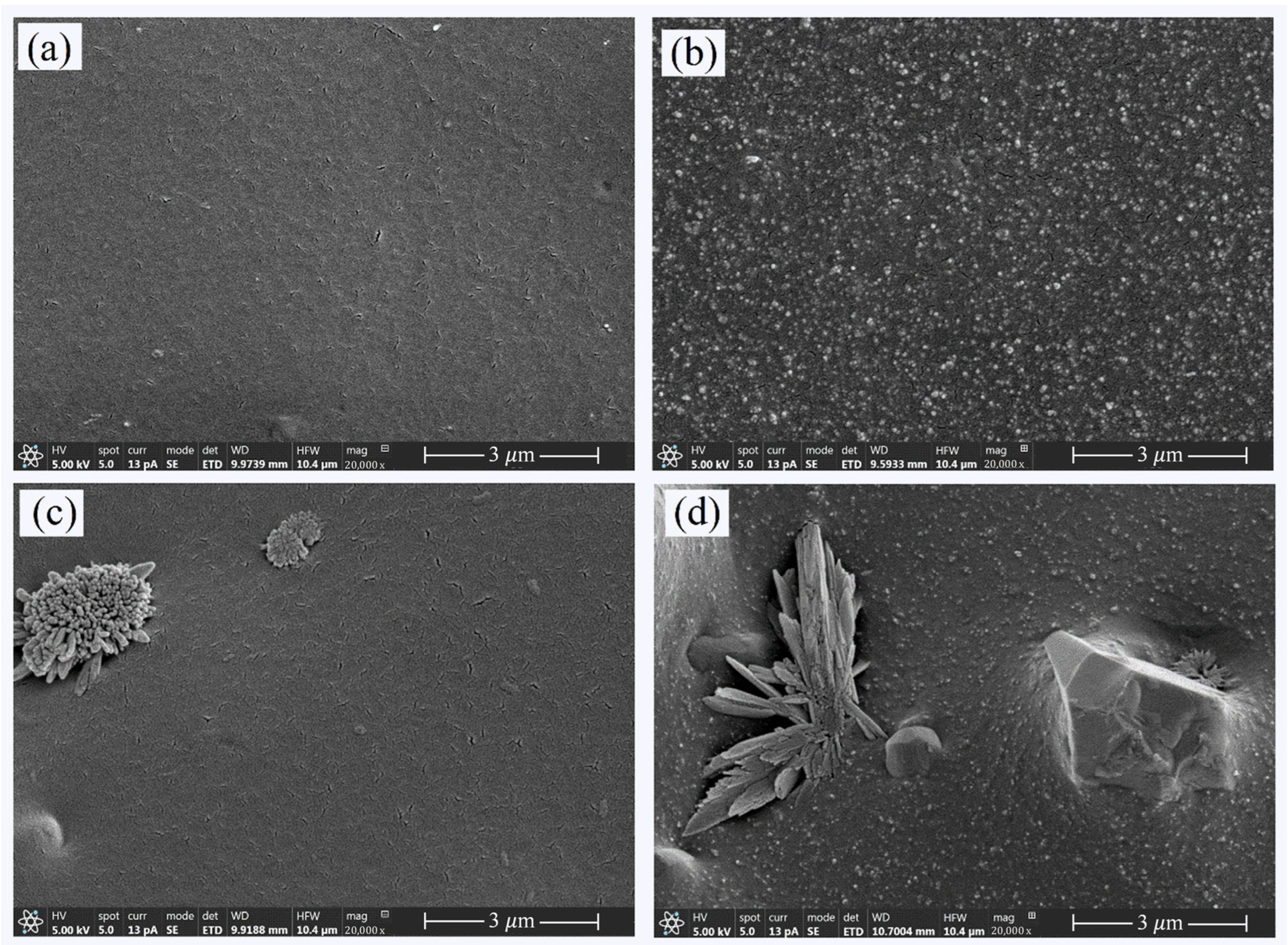 Polymers 16 03362 g004