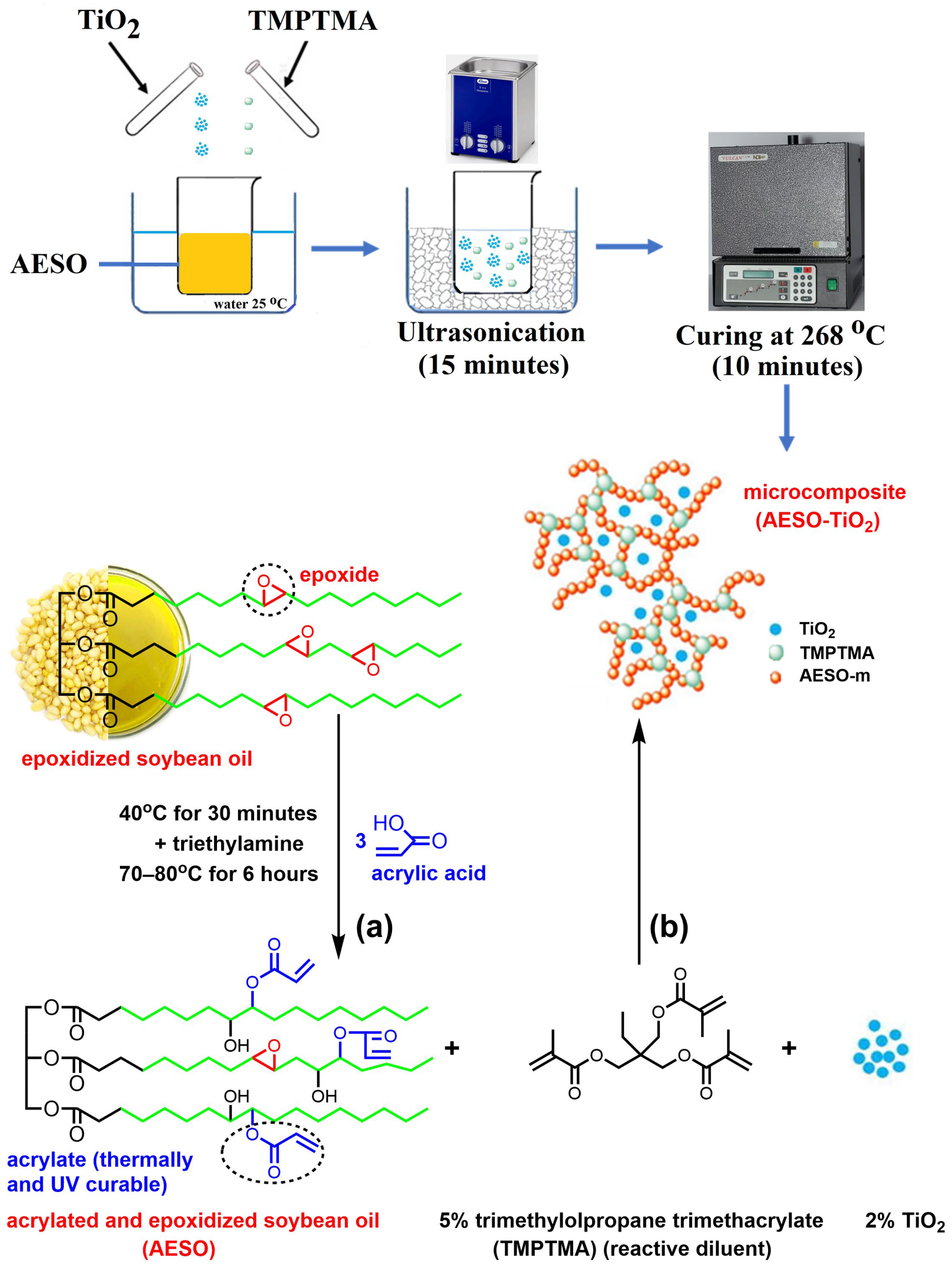 Polymers 16 03363 g001