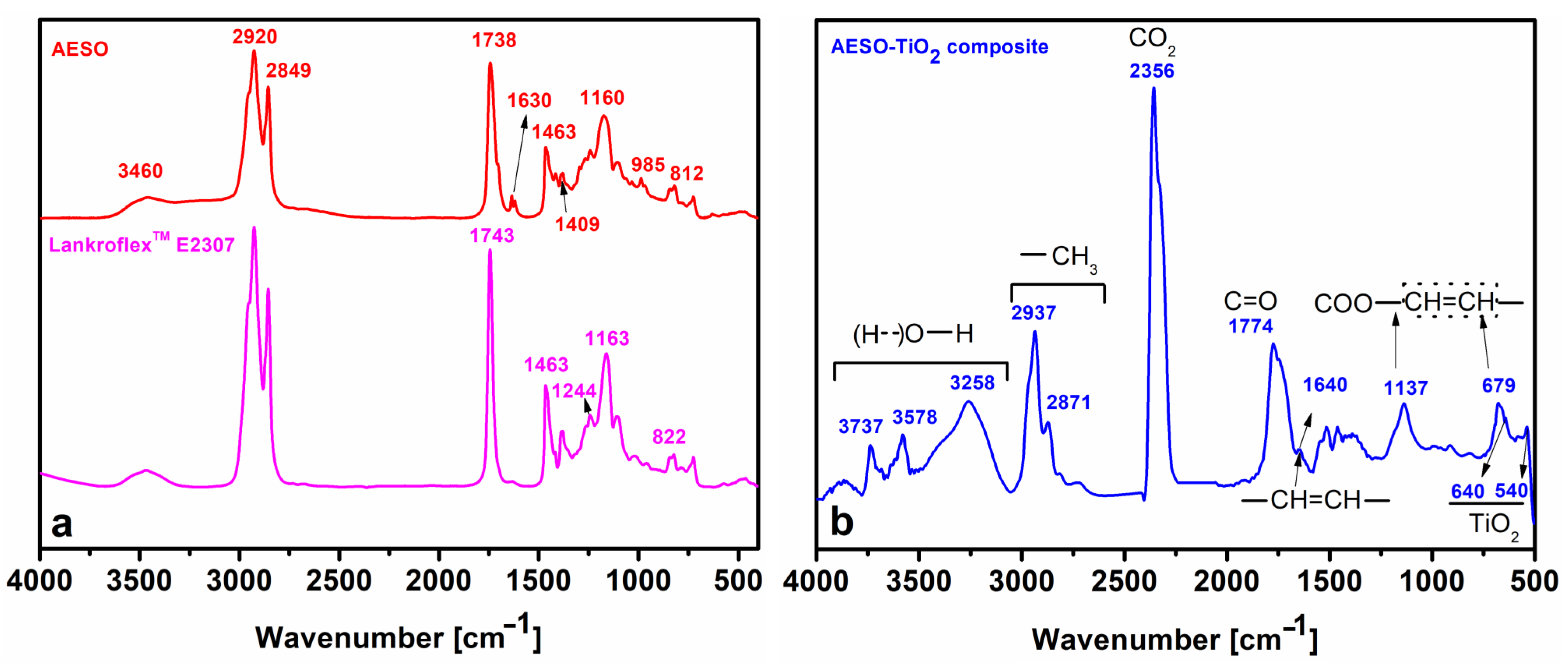 Polymers 16 03363 g002