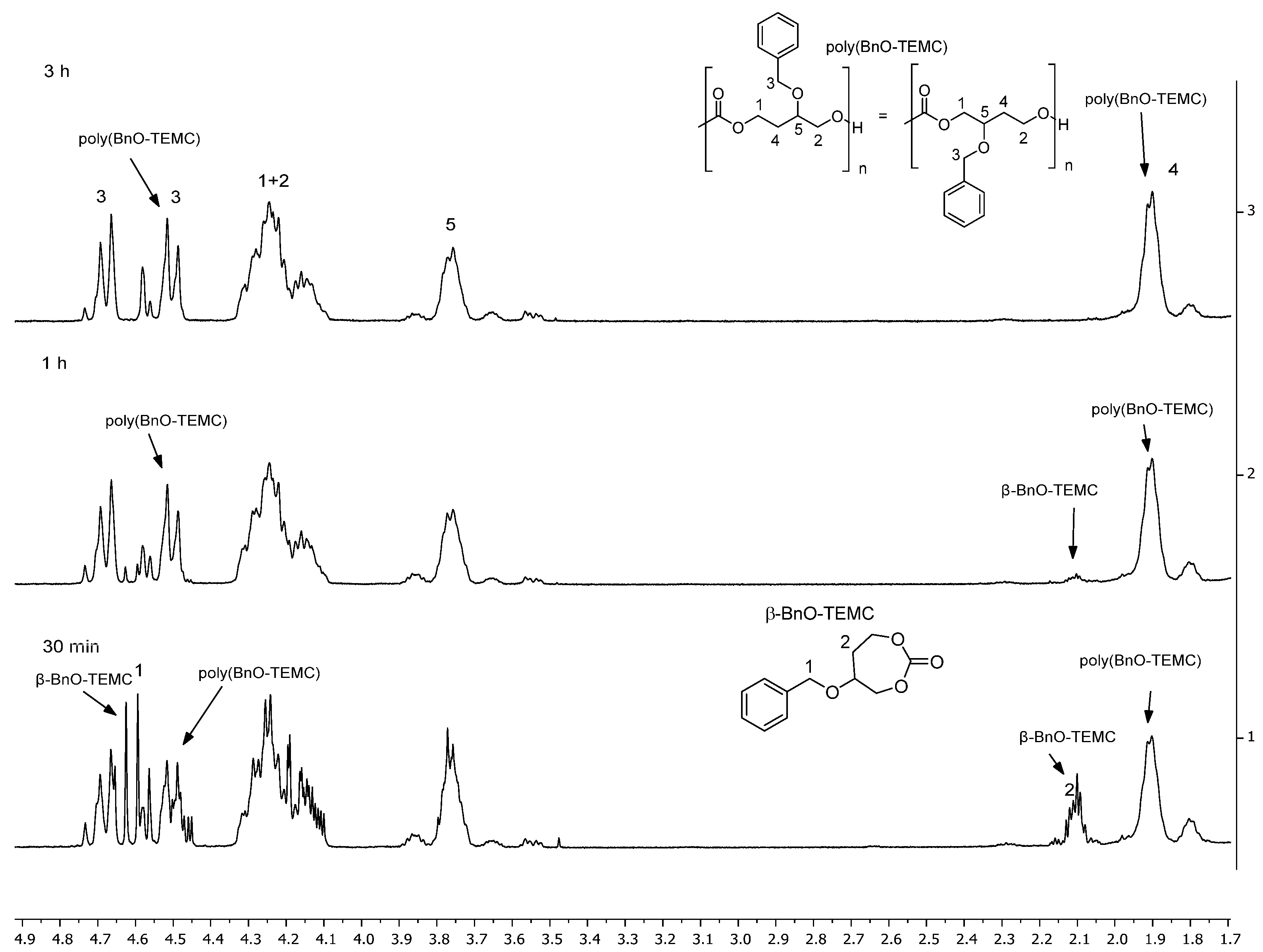 Polymers 16 03364 g002