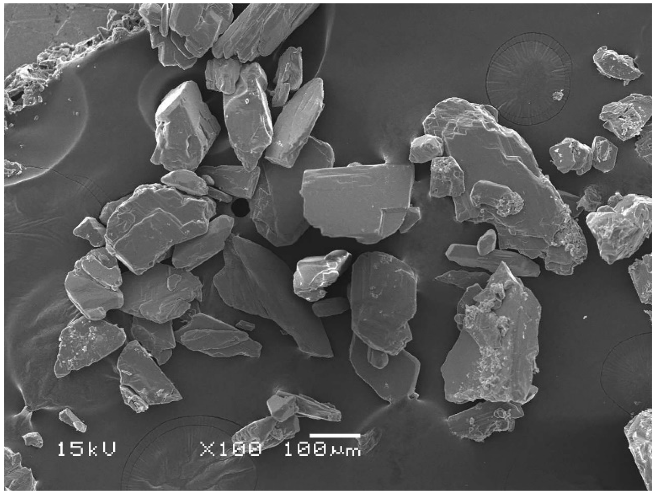 Polymers 16 03367 g001