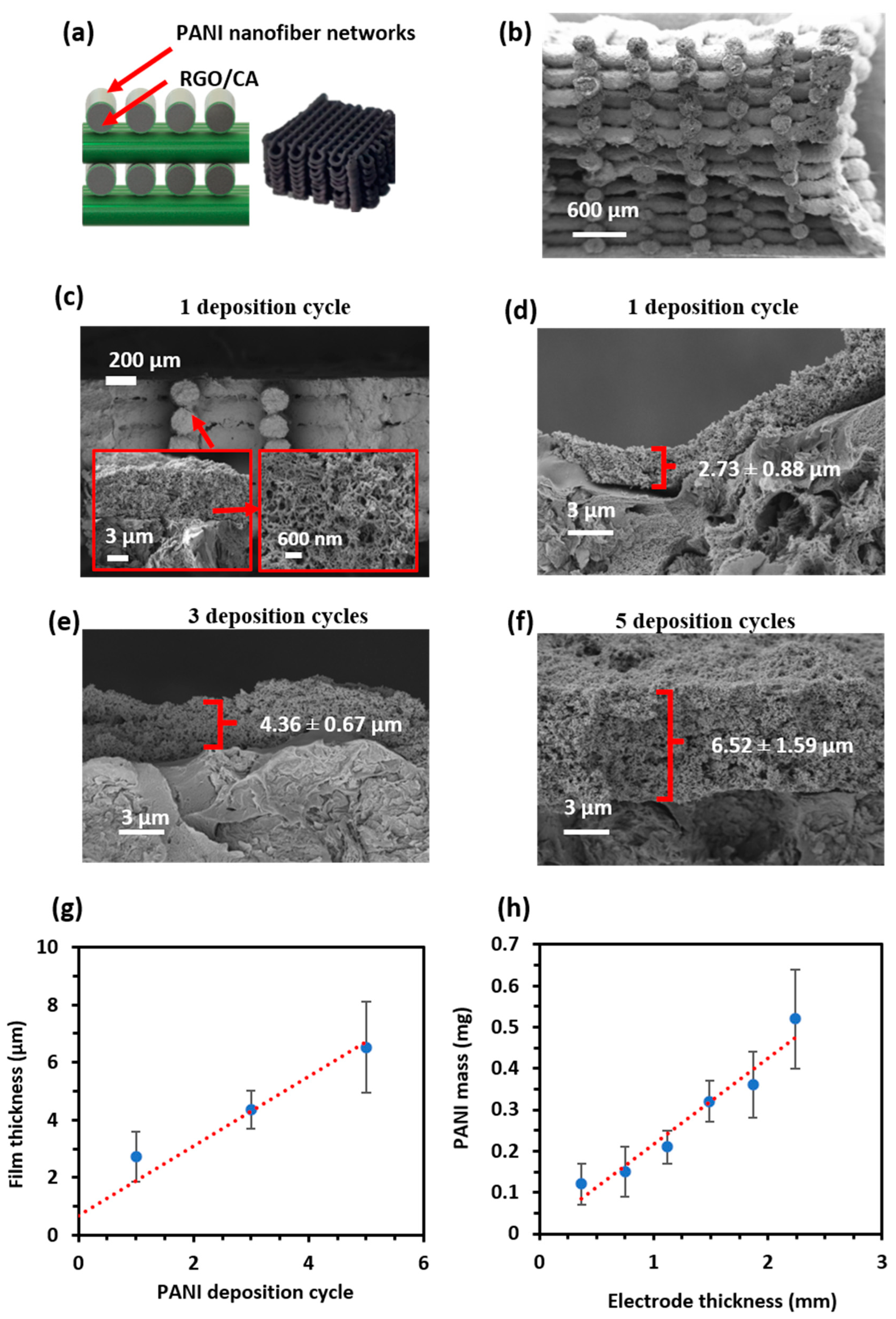 Polymers 16 03369 g009
