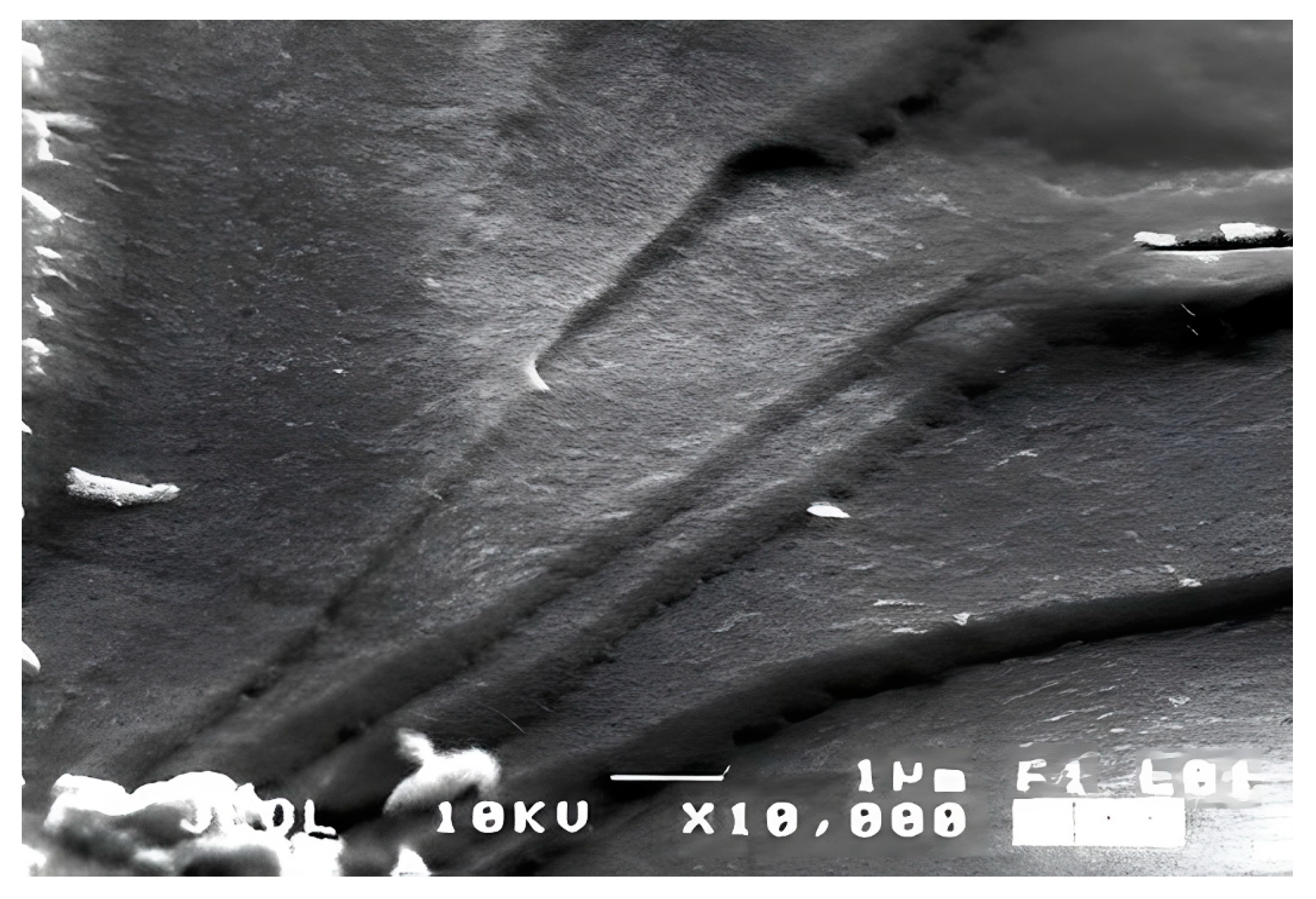 Polymers 16 03370 g001