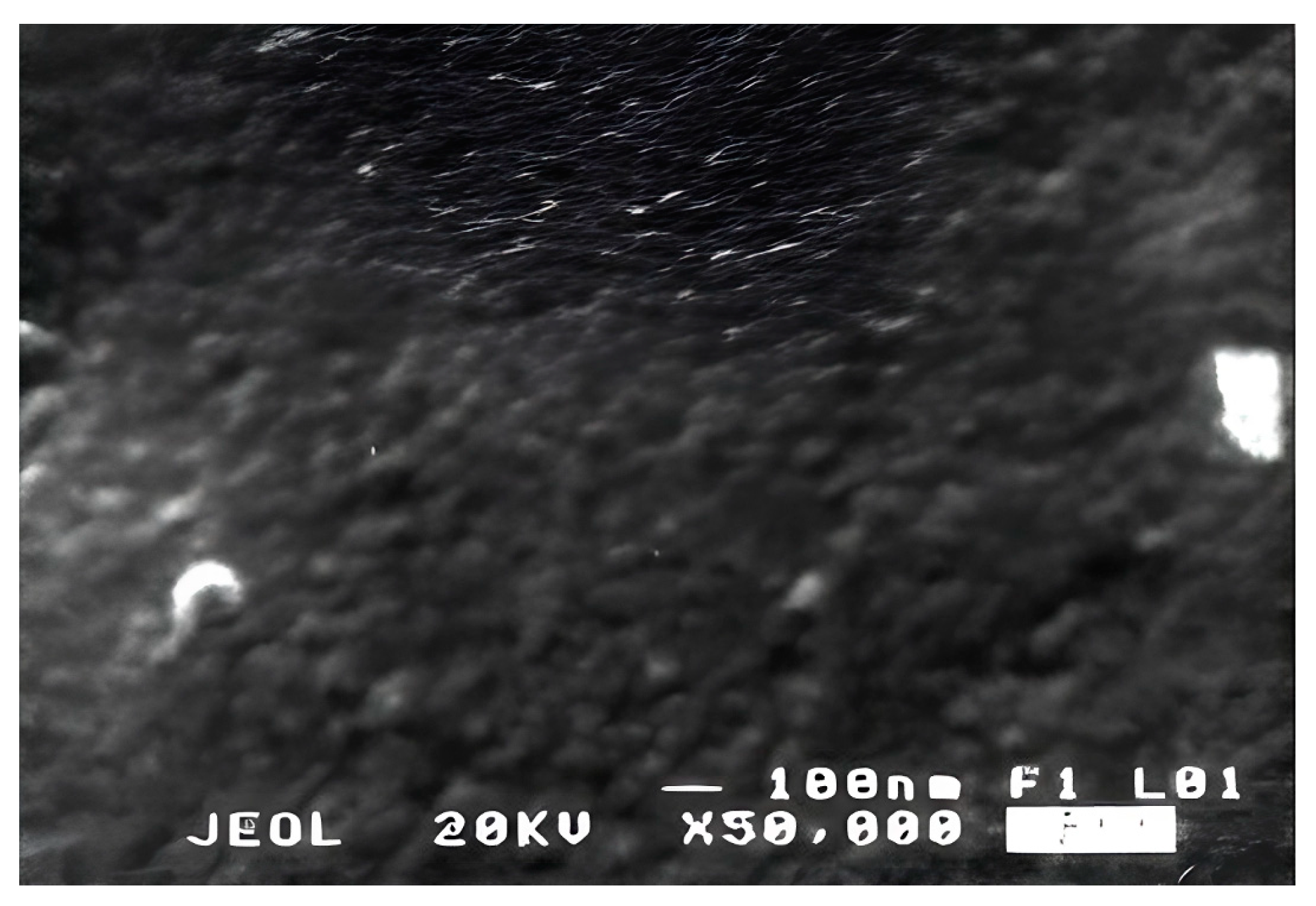 Polymers 16 03370 g002