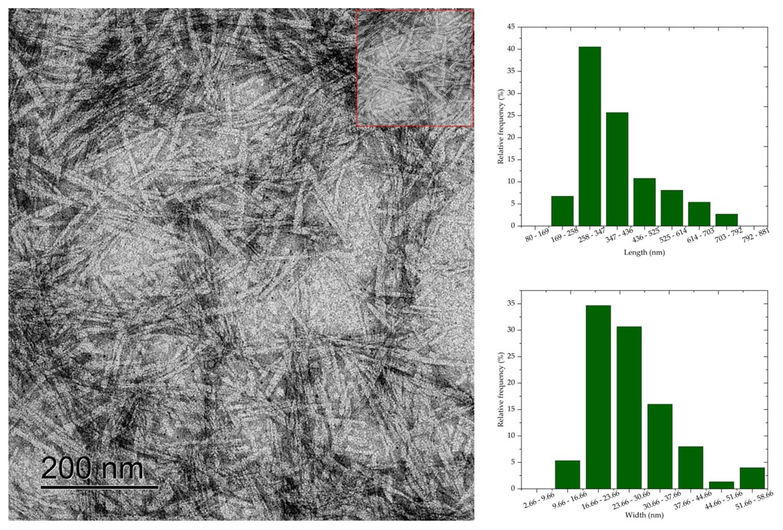 Polymers 16 03371 g005