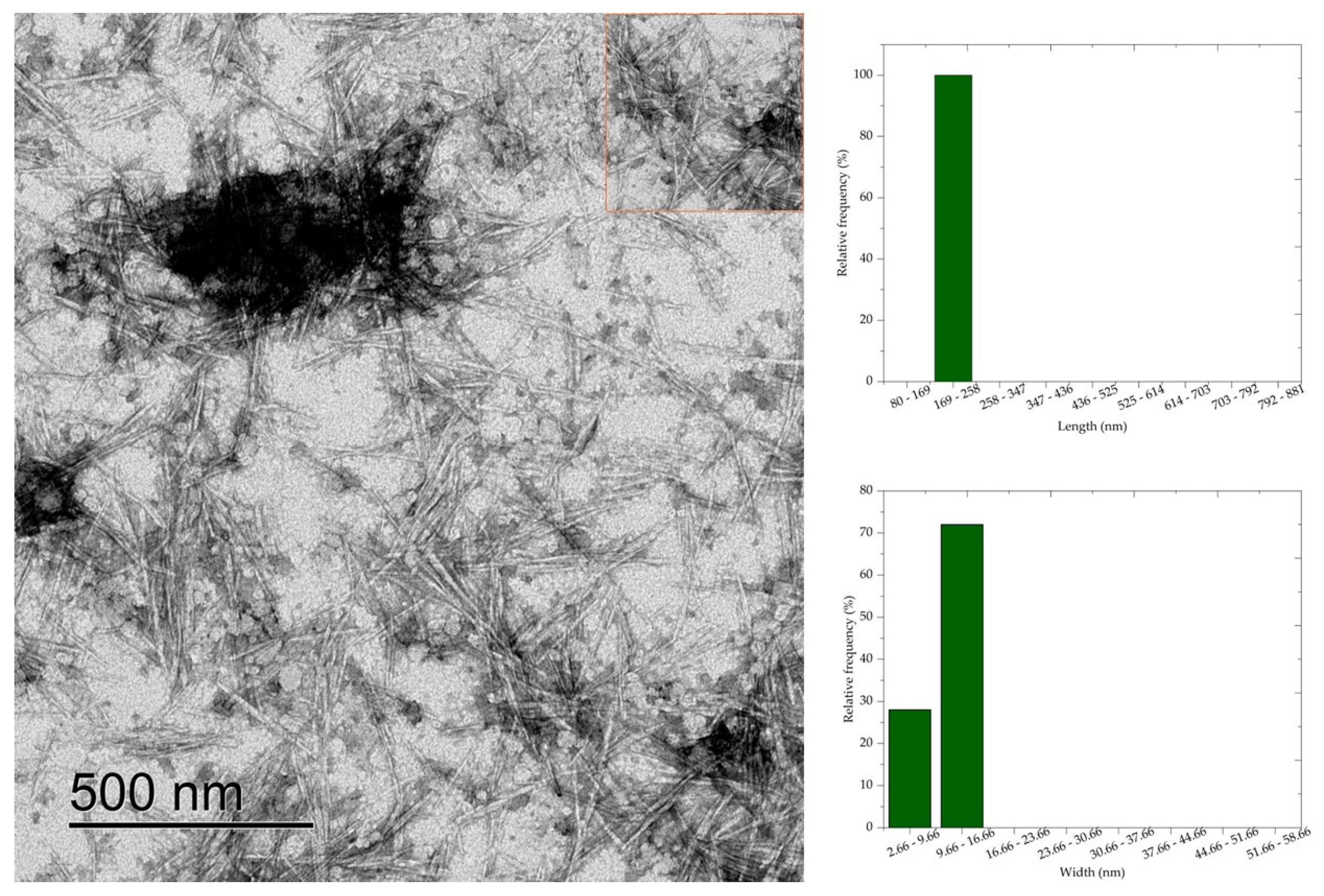 Polymers 16 03371 g008