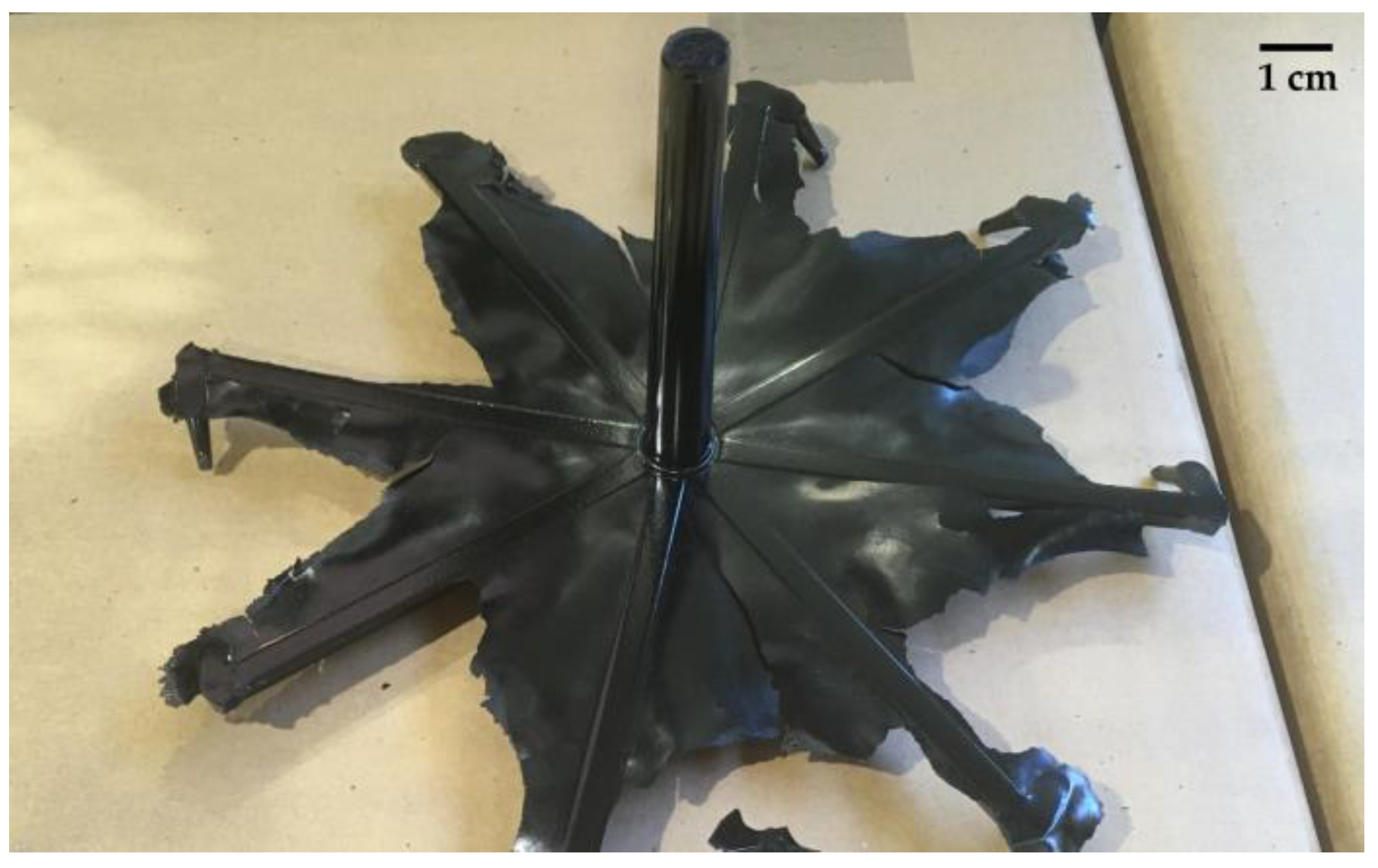 Polymers 16 03378 g001