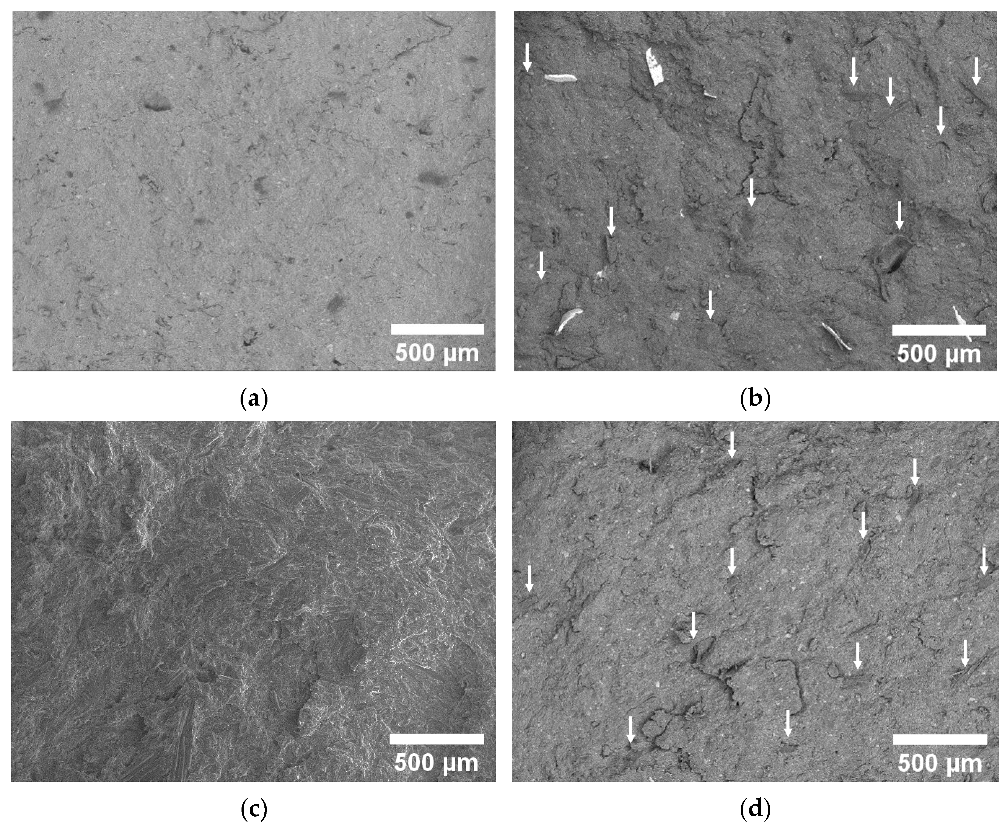Polymers 16 03378 g005
