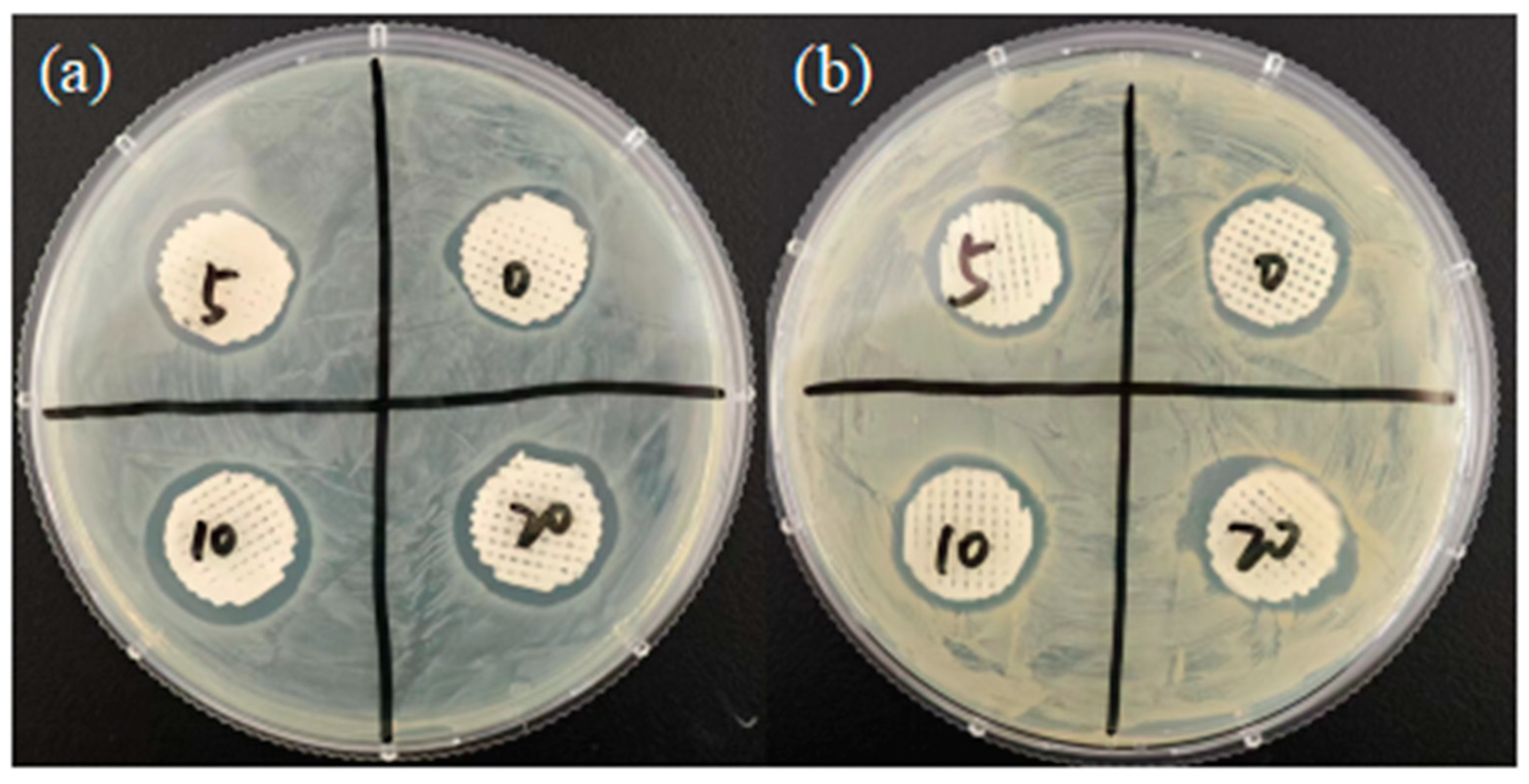 Polymers 16 03379 g009