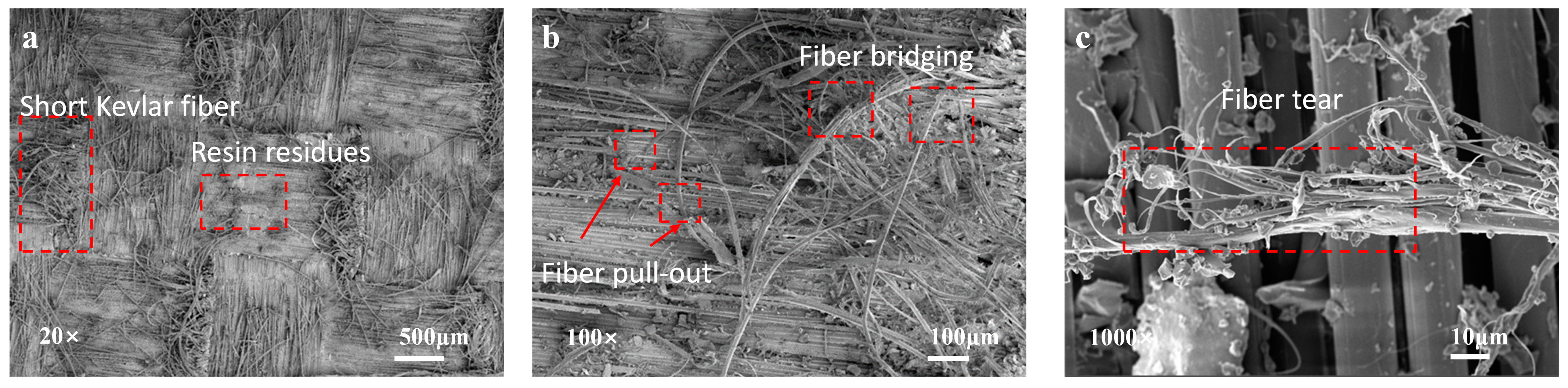 Polymers 16 03380 g010