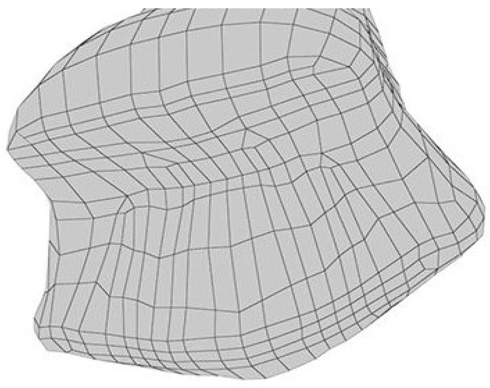 Polymers 16 03381 g001