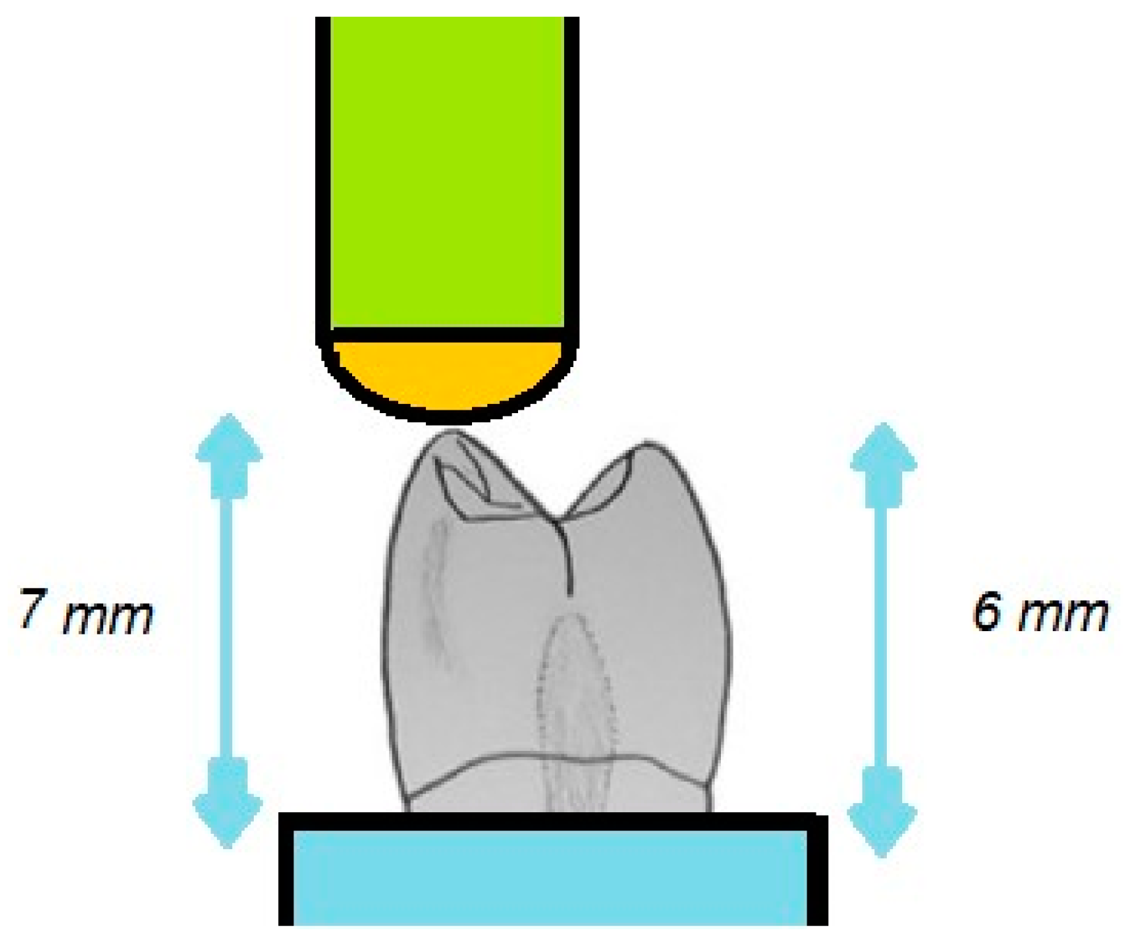 Polymers 16 03381 g002