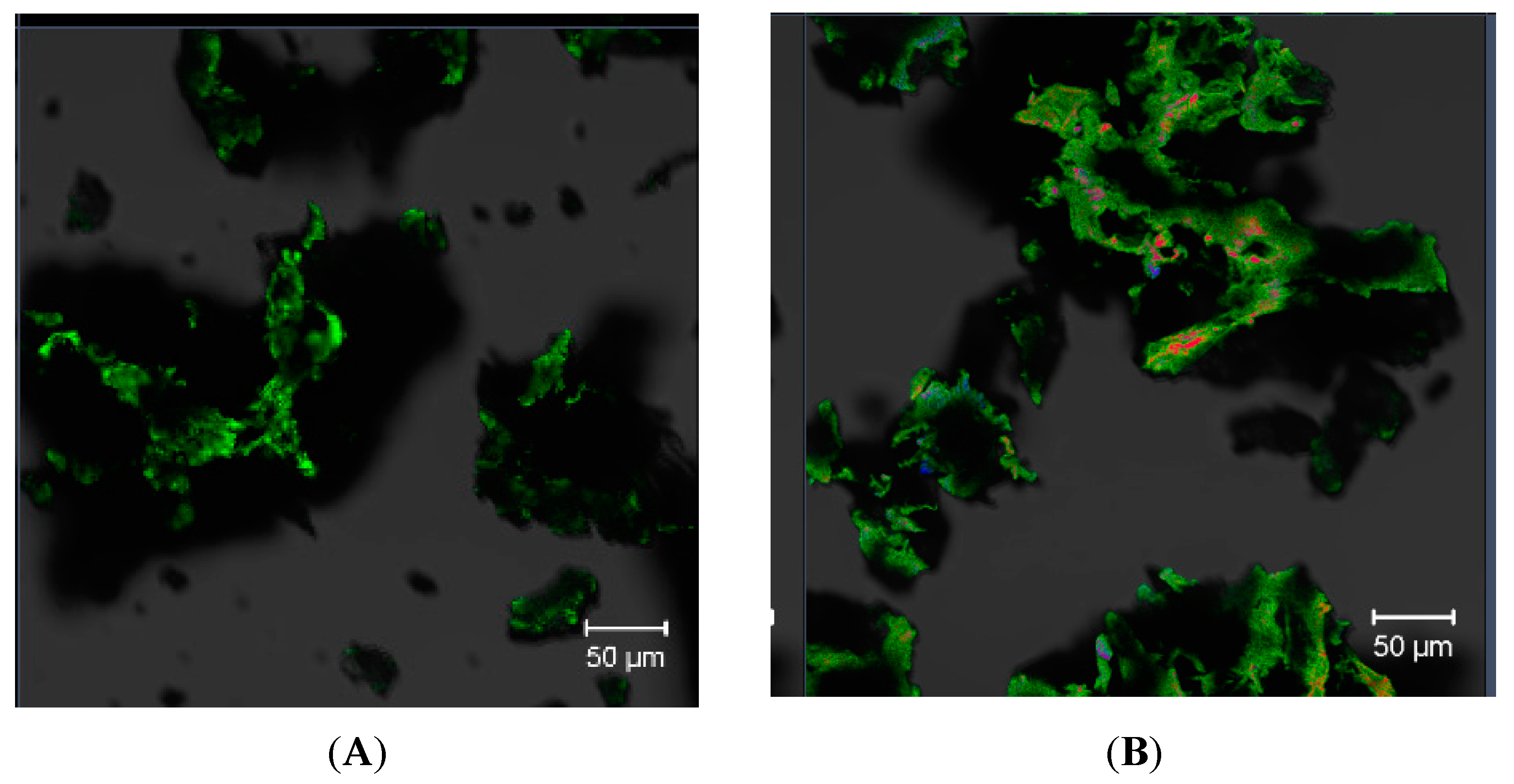 Polymers 16 03383 g003