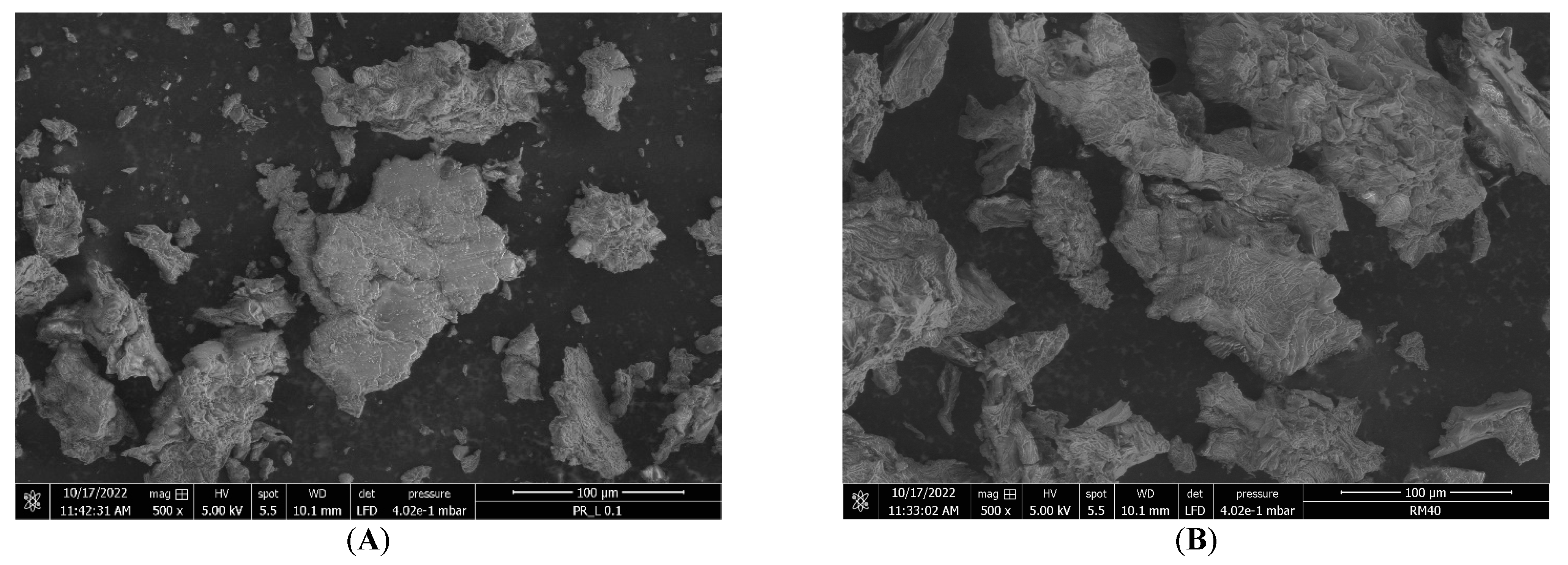 Polymers 16 03383 g005