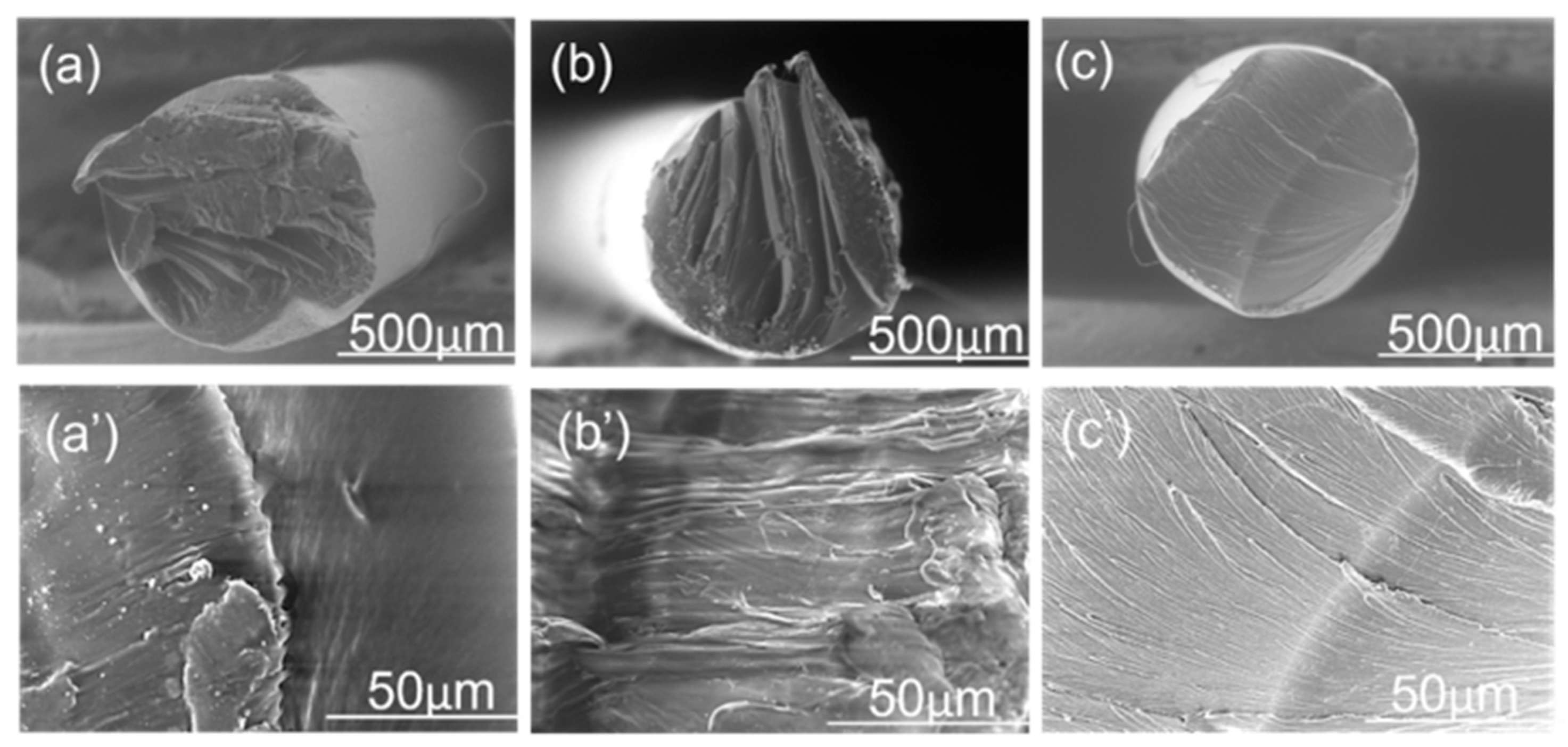 Polymers 16 03384 g008