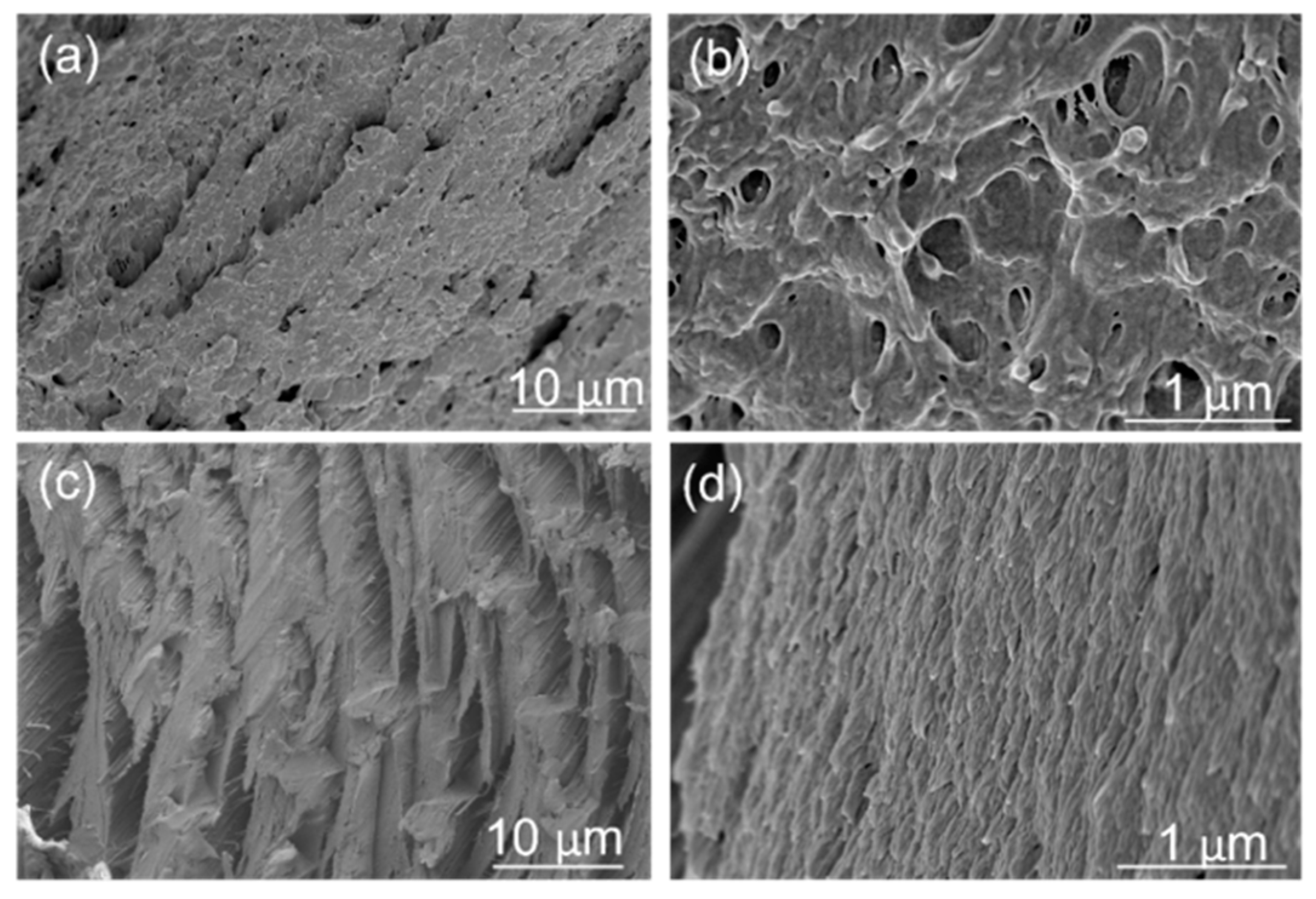 Polymers 16 03384 g009