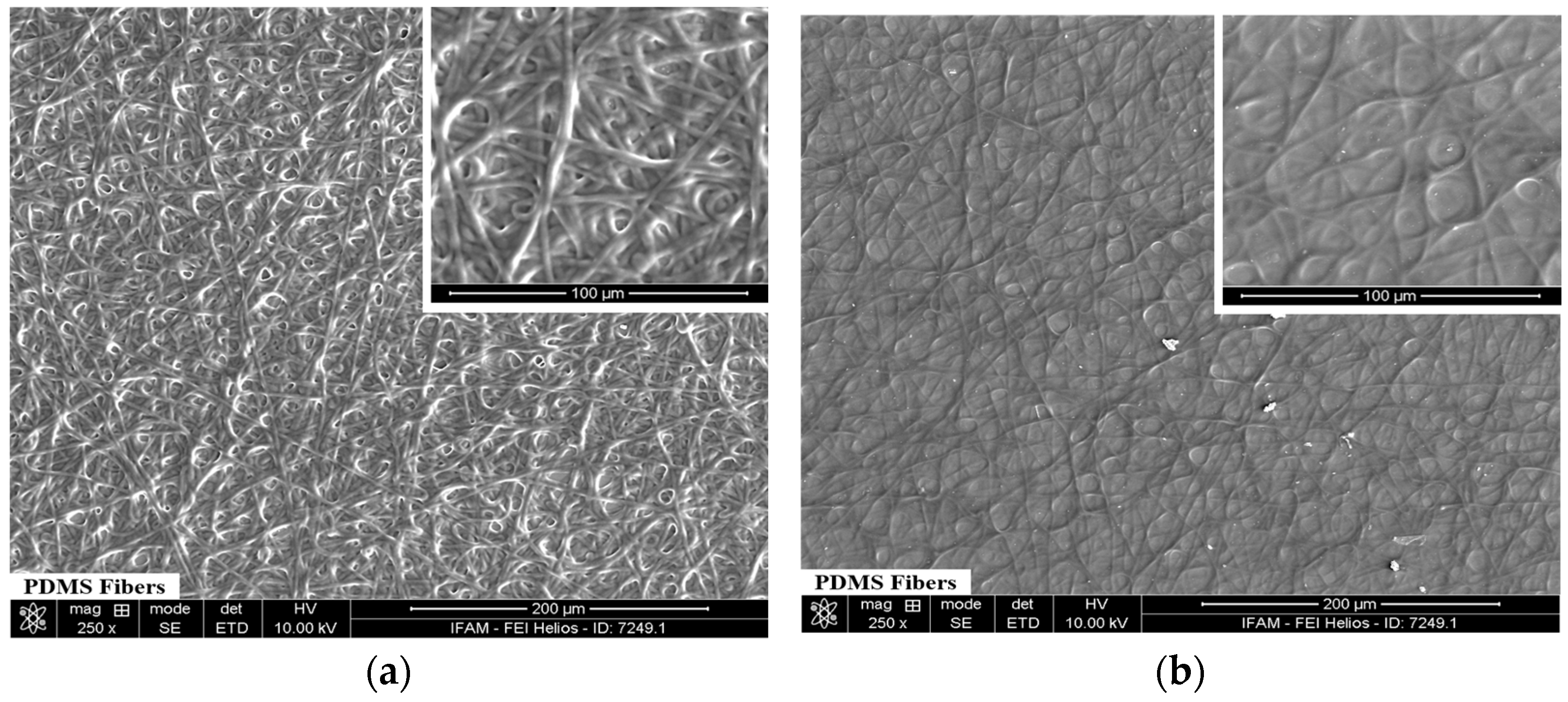 Polymers 16 03386 g002