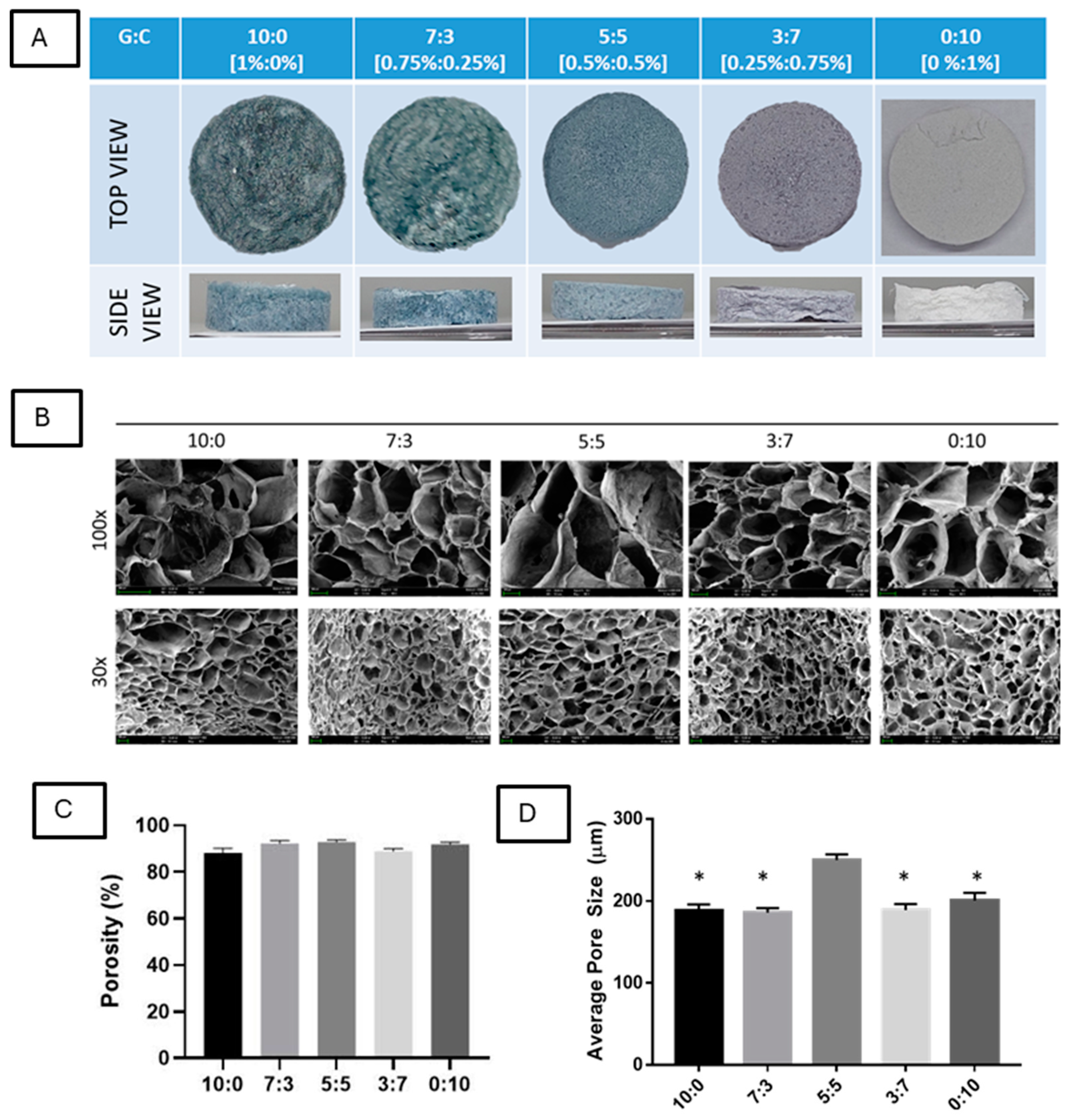 Polymers 16 03387 g001