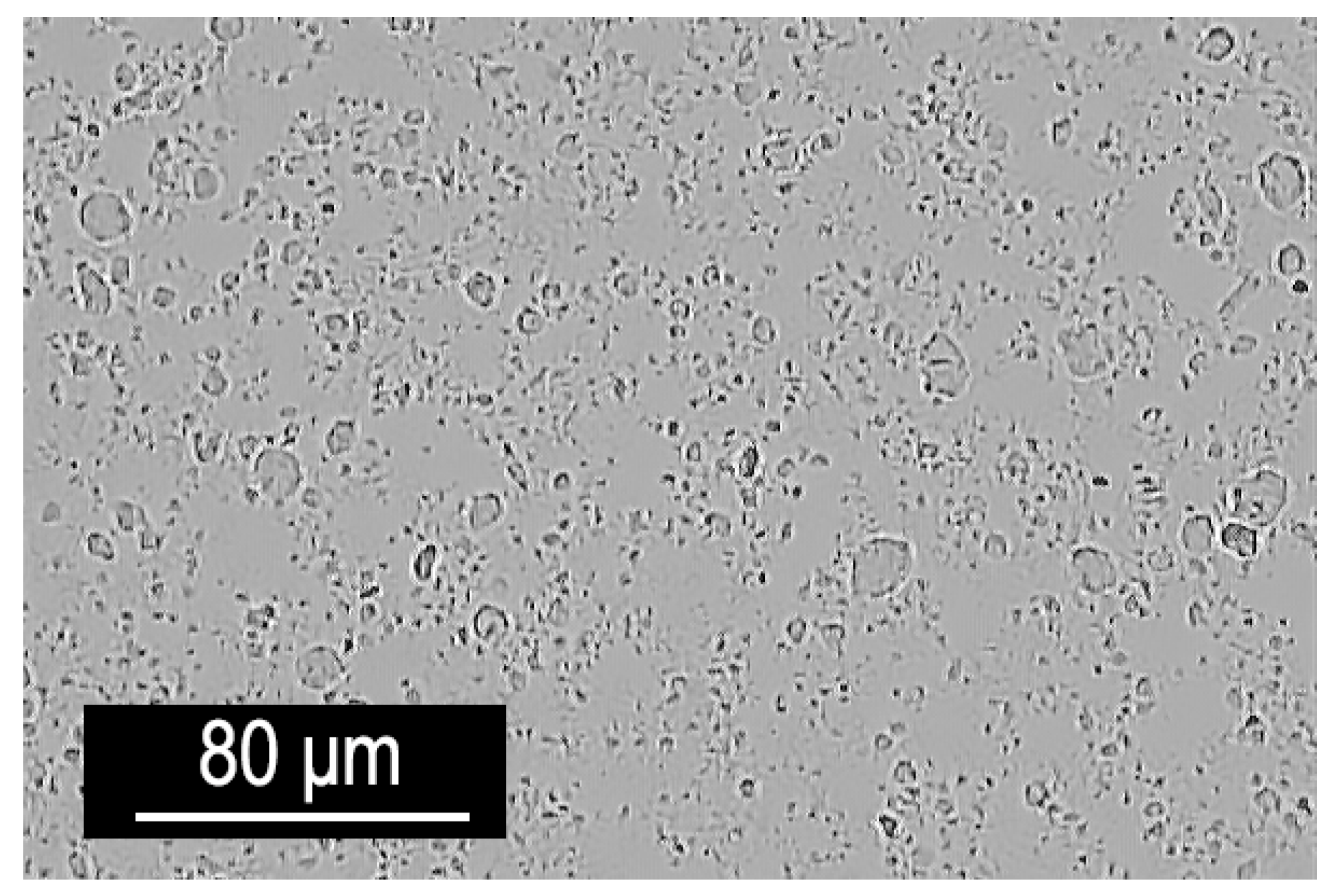 Polymers 16 03388 g007