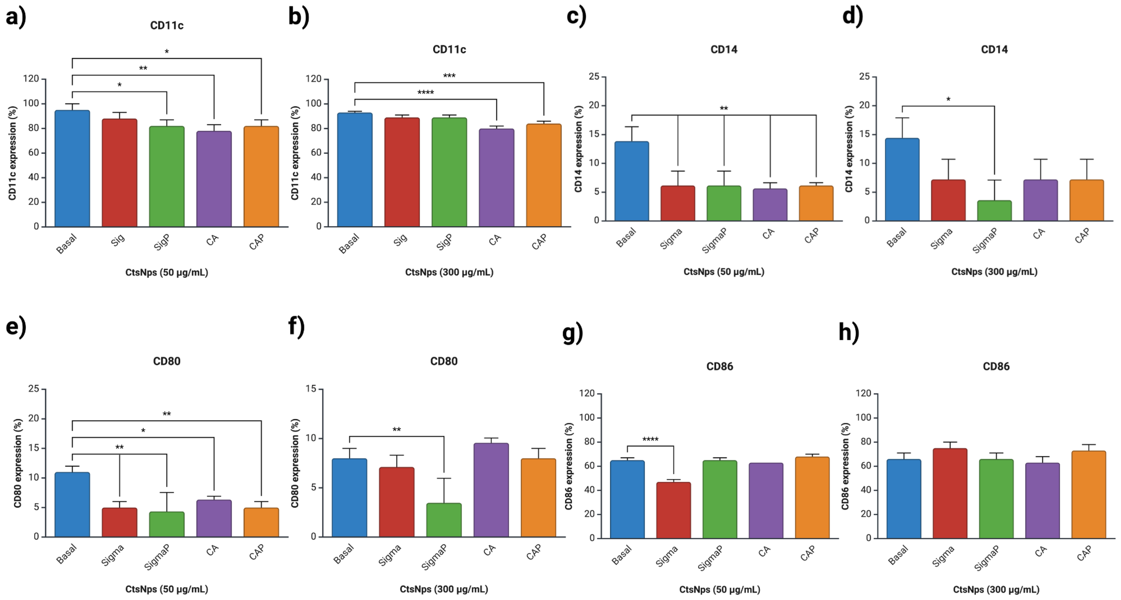 Polymers 16 03390 g005
