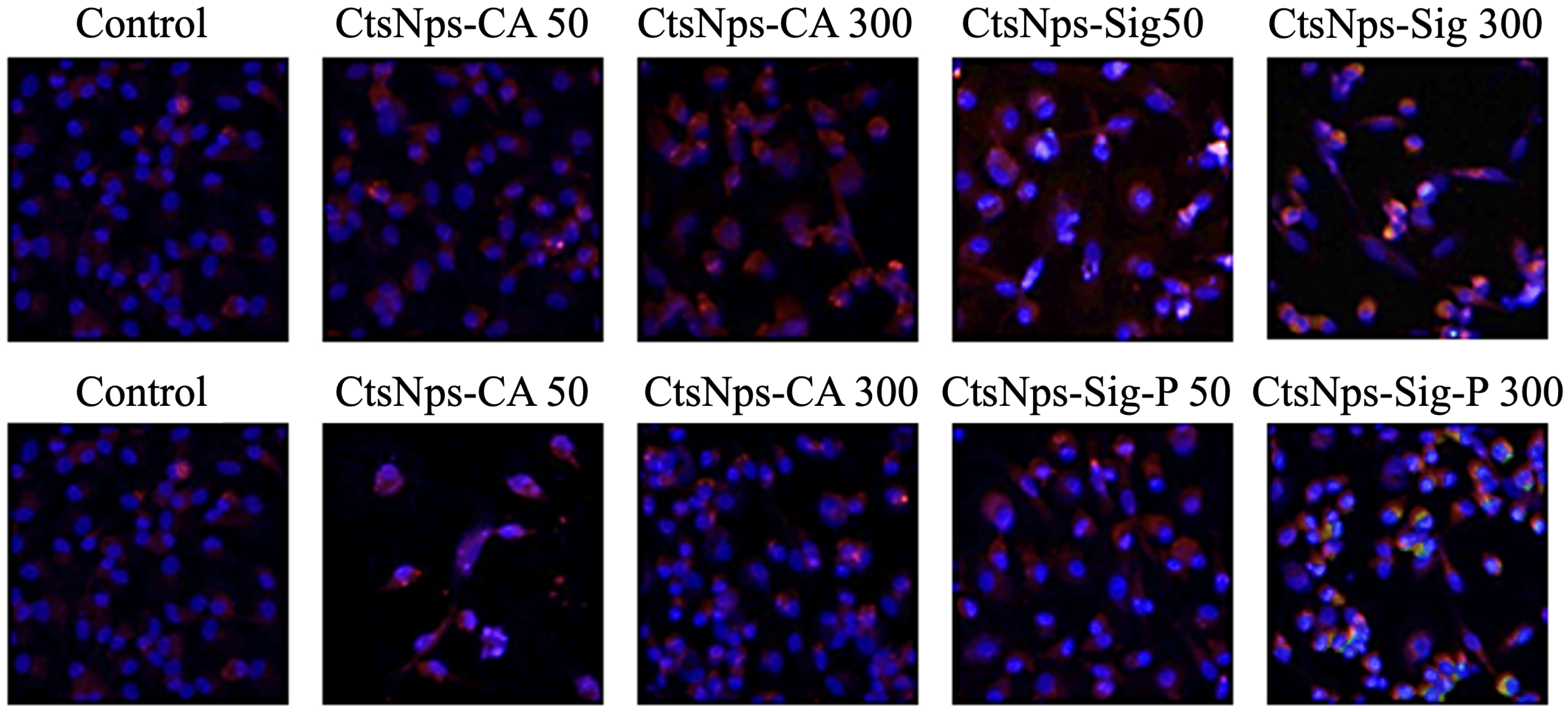 Polymers 16 03390 g009