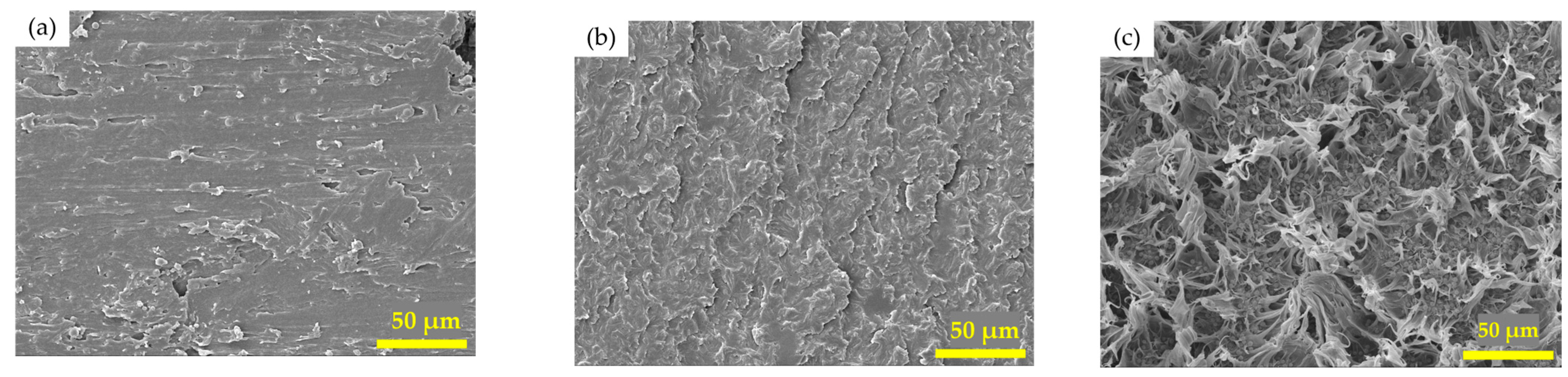 Polymers 16 03391 g009