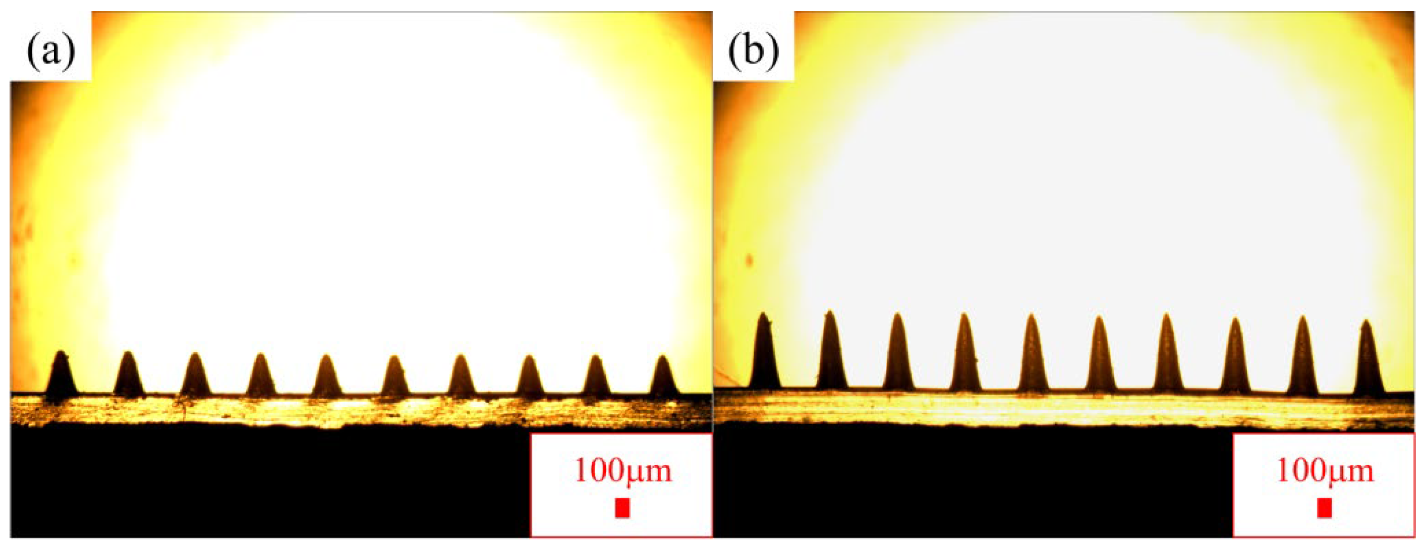 Polymers 16 03397 g001