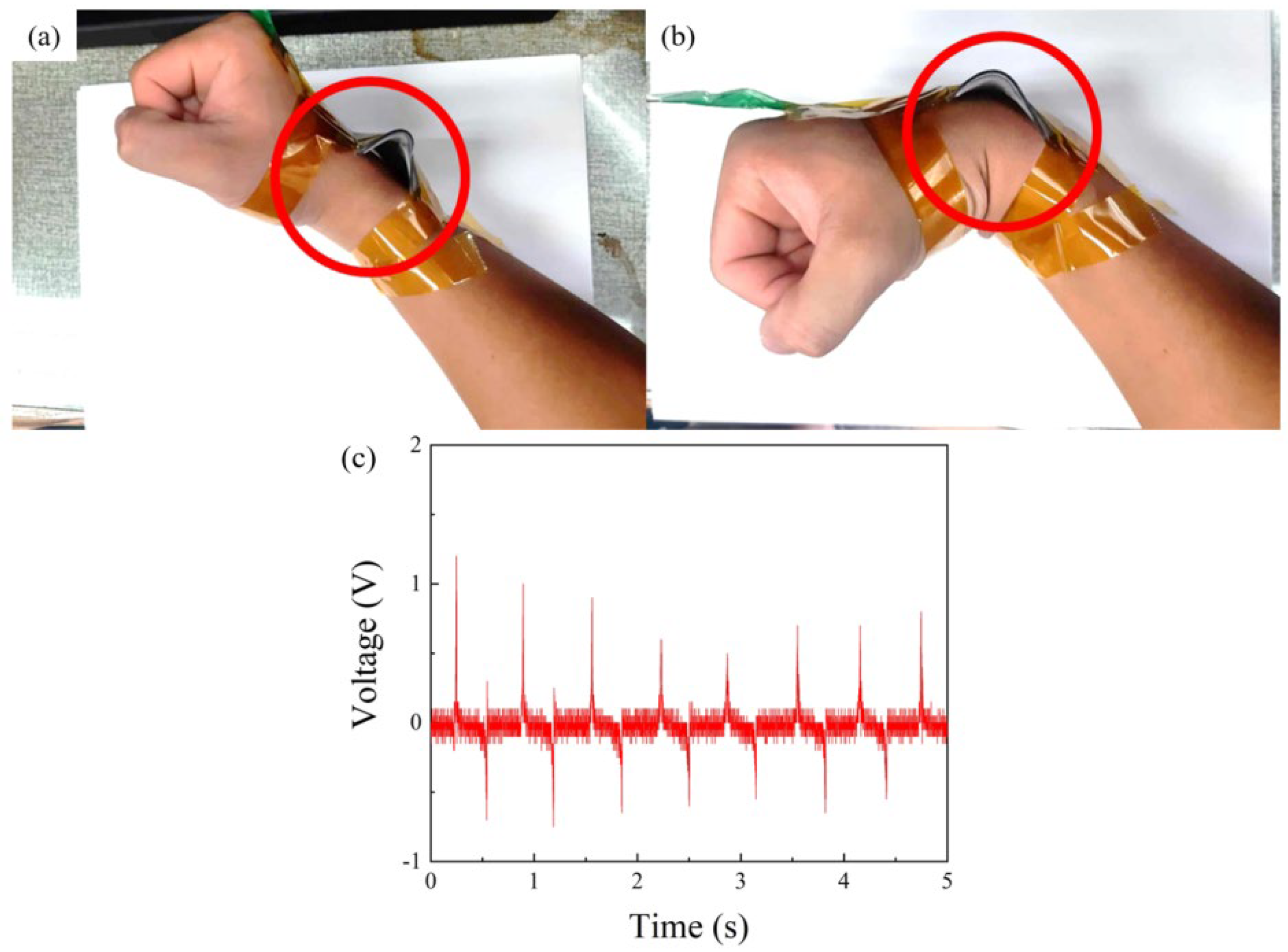 Polymers 16 03397 g005