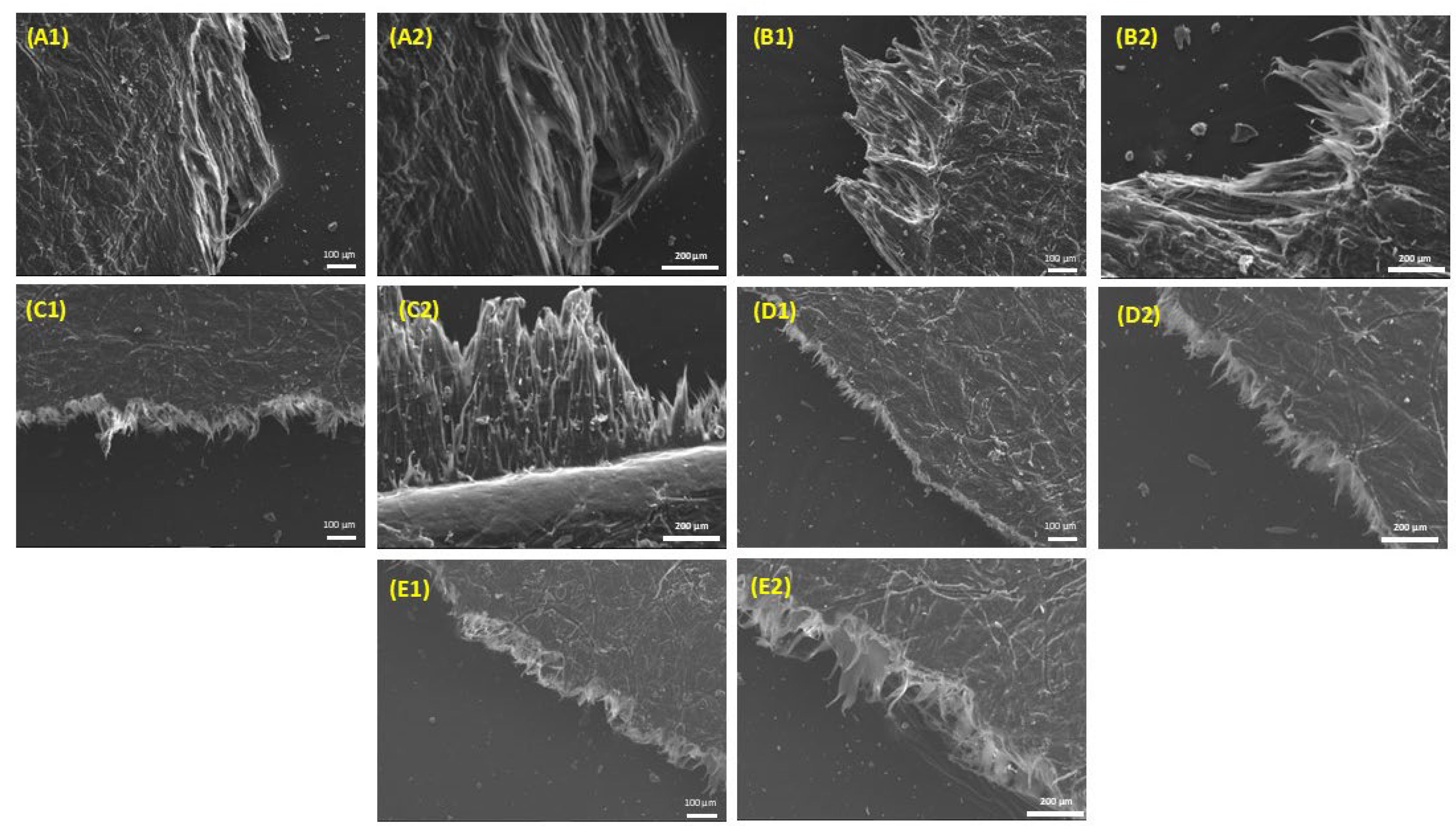 Polymers 16 03398 g009