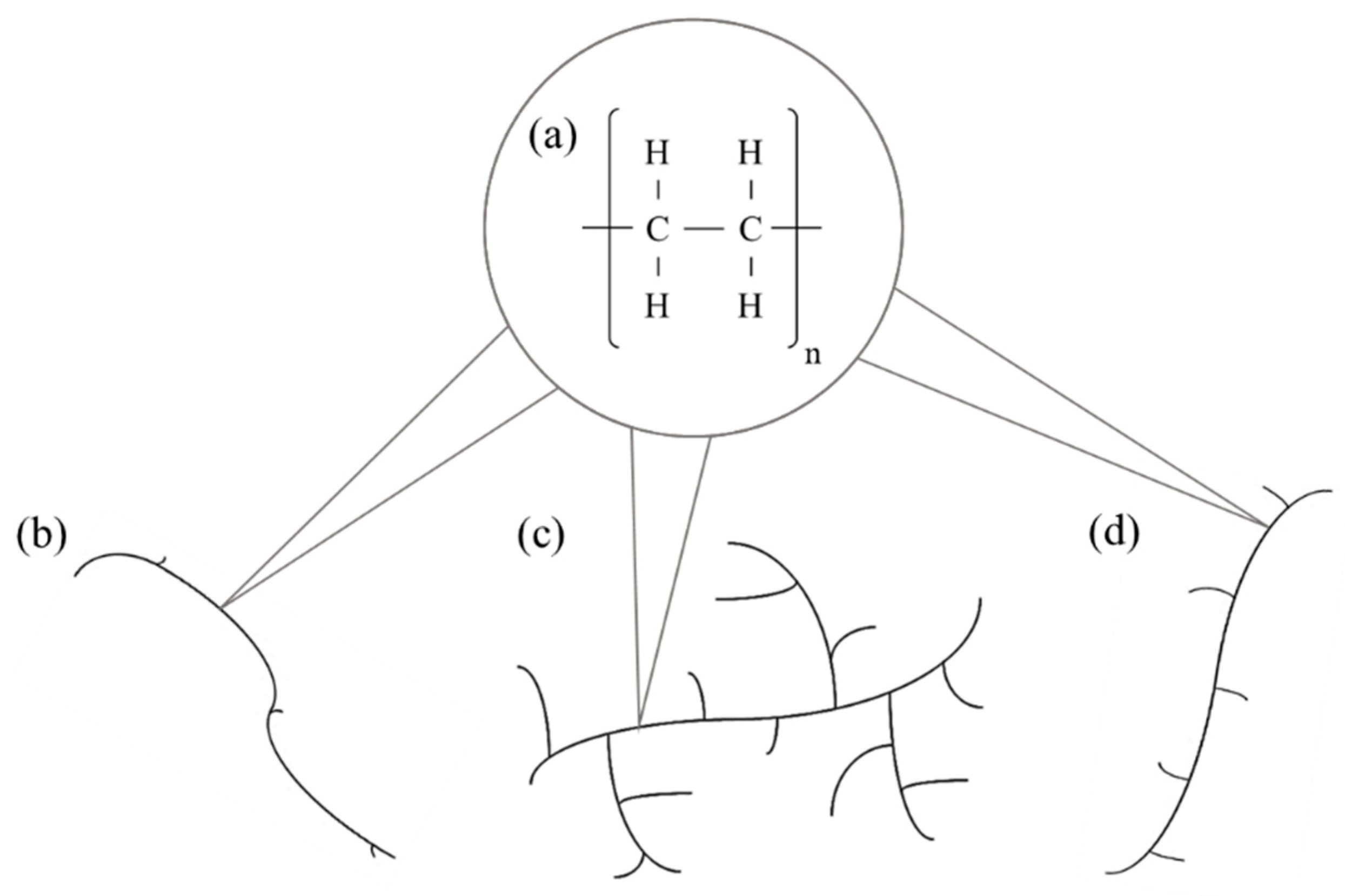 Polymers 16 03399 g001