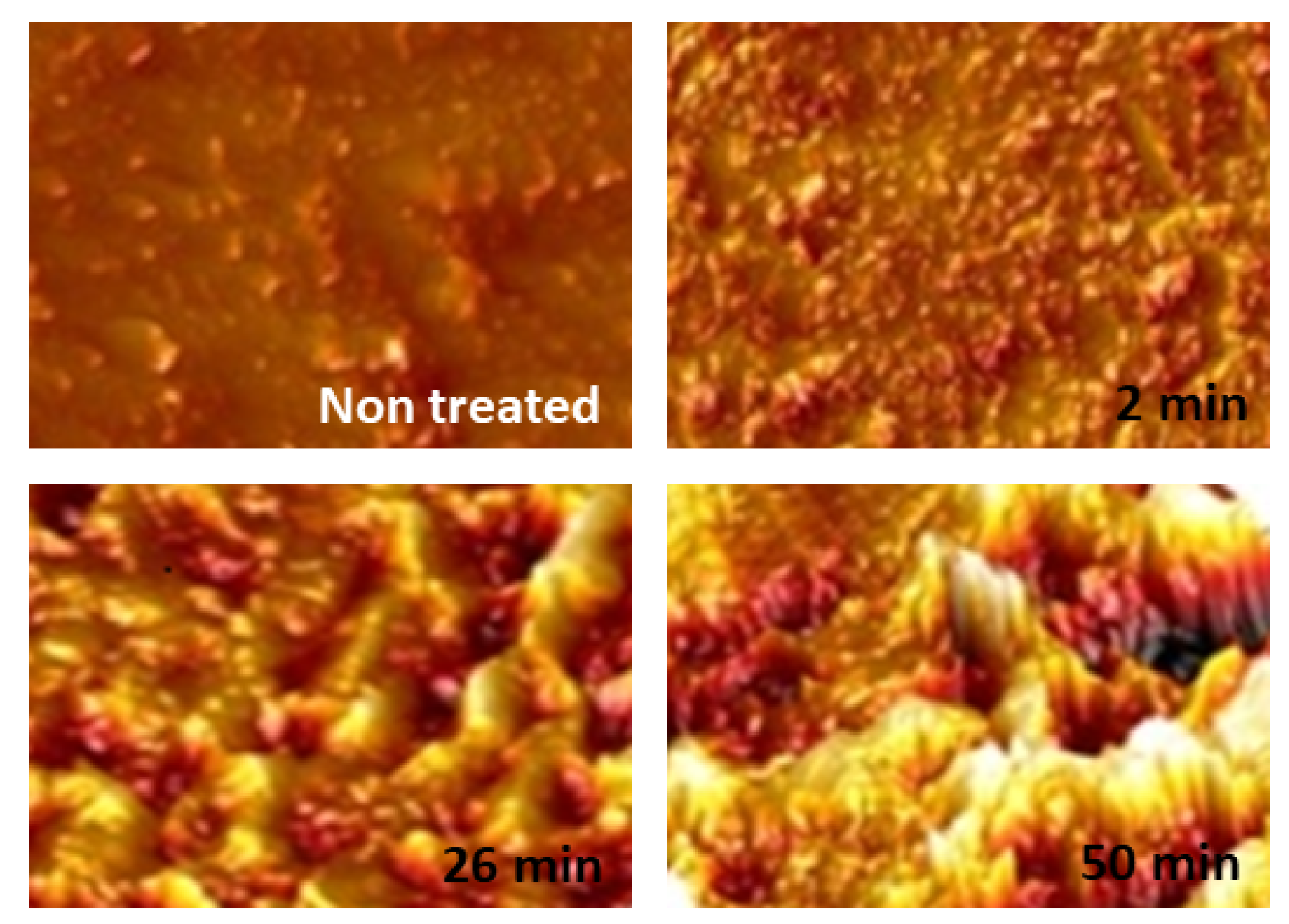 Polymers 16 03400 g014 Polymers 16 03400 g014