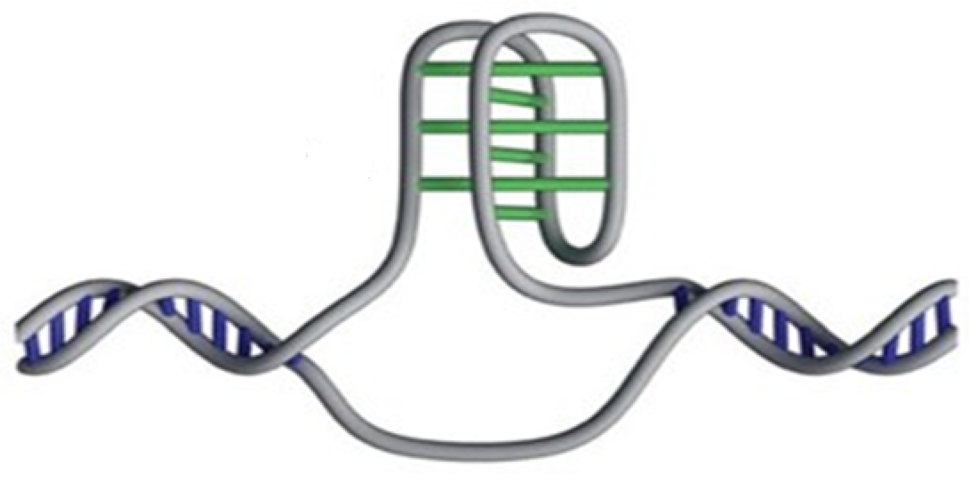 Polymers 16 03400 g049 Polymers 16 03400 g049