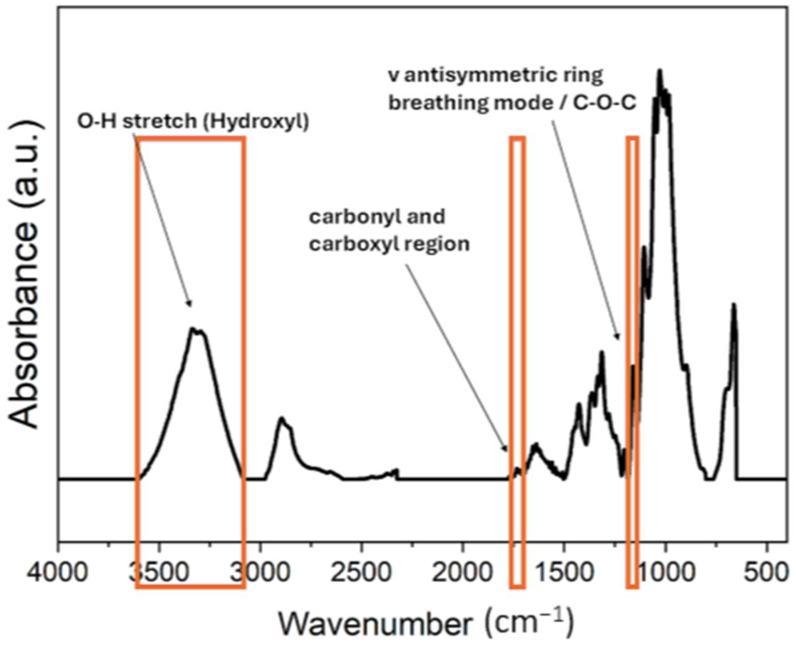 Polymers 16 03401 g001