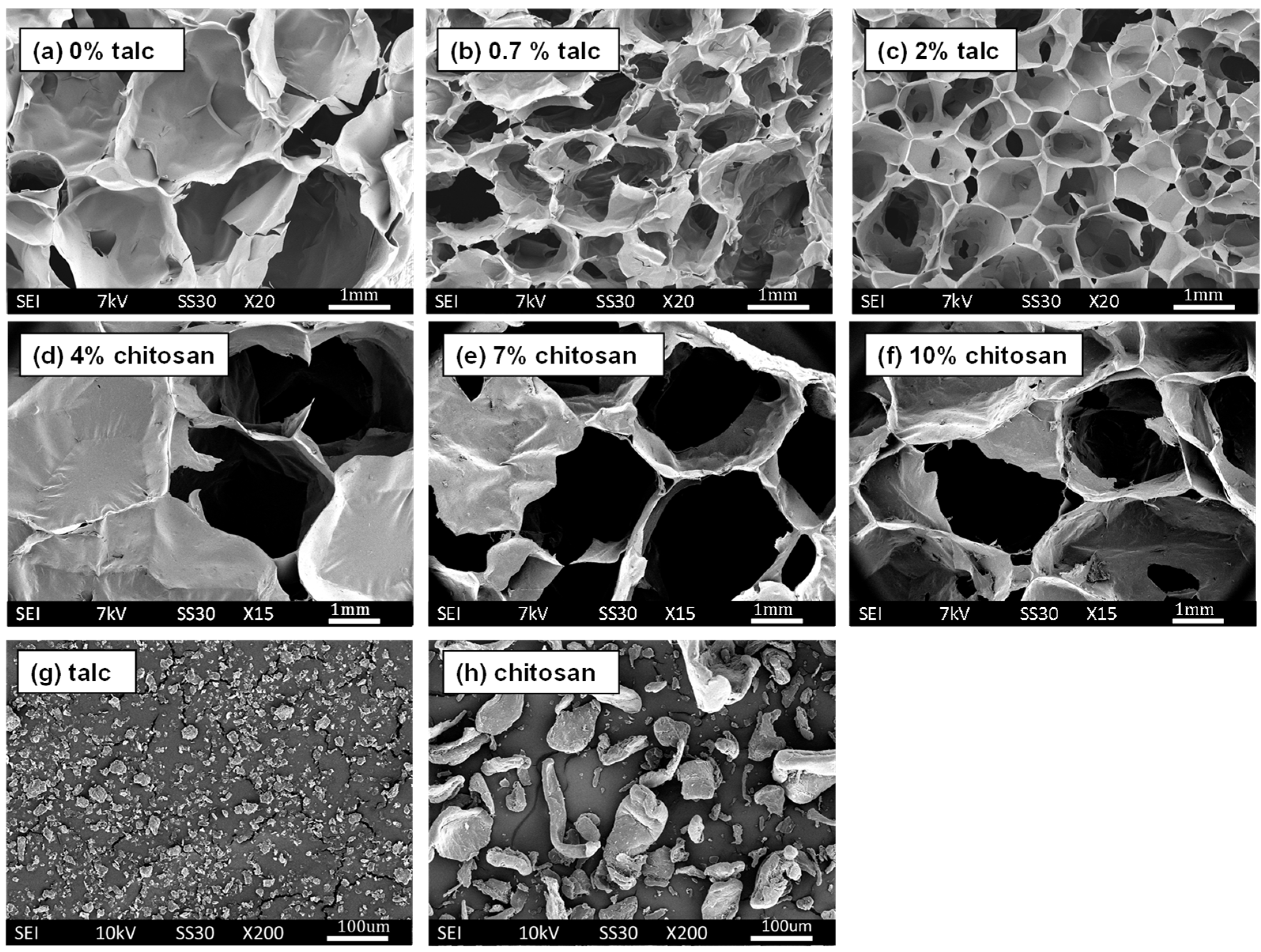 Polymers 16 03402 g007